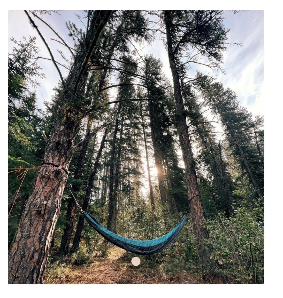 Suspended in Sound - Outdoors Edition with BBC