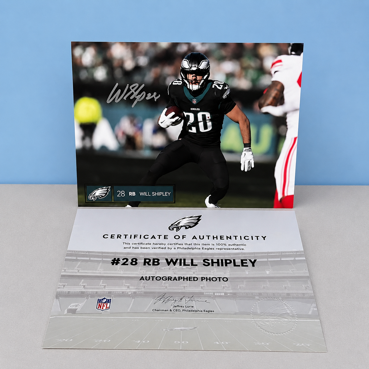 Fly Eagles Fly