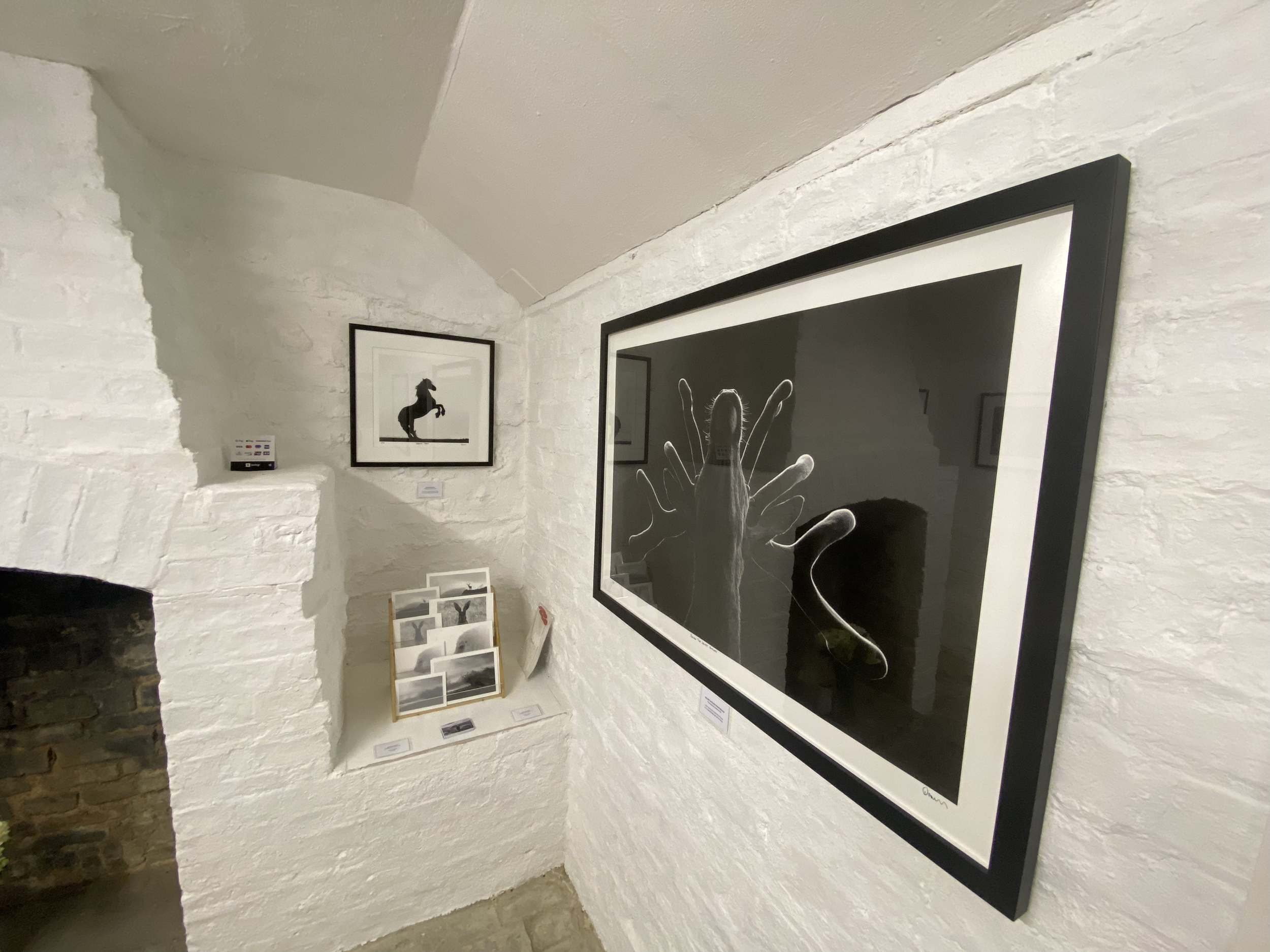 THis was taken during my recent gallery exhibition, showing "Below the velvet antlers' and 'Rearing horse'. As well as my mini A5 and A6 open edition Piezography Pro prints