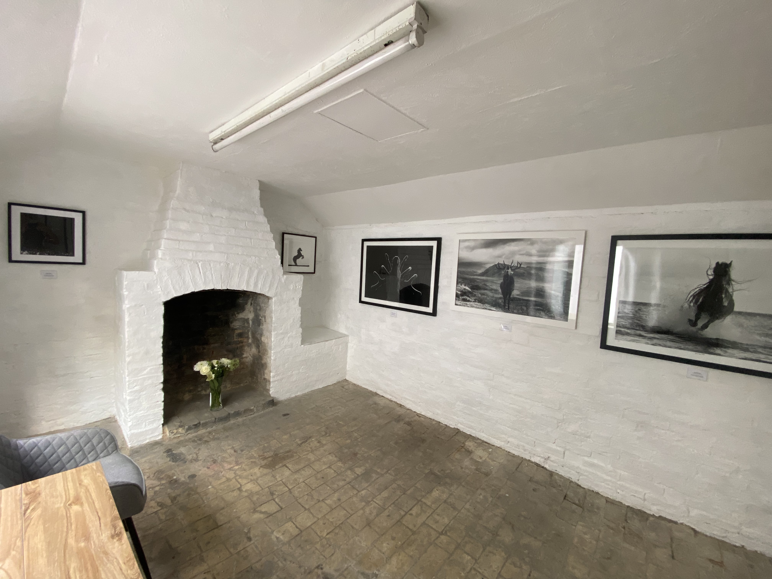 July exhibition in my gallery

