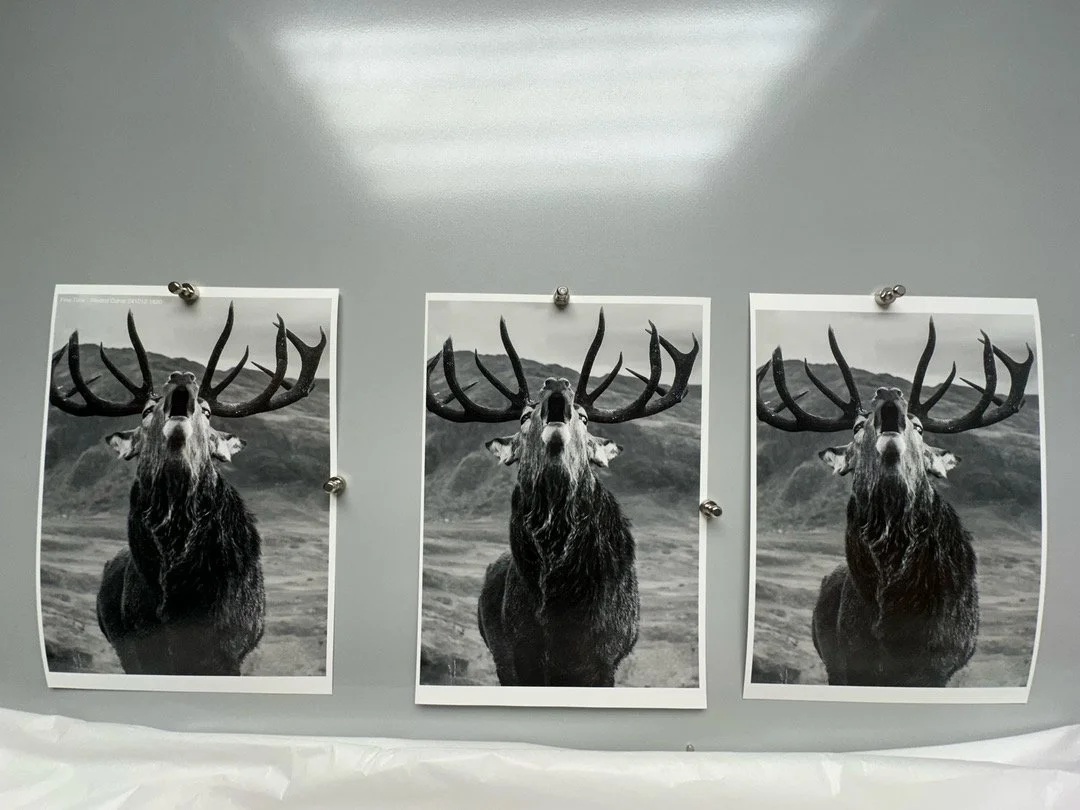 Between myself and the printer we make sure each print is thoroughly checked.