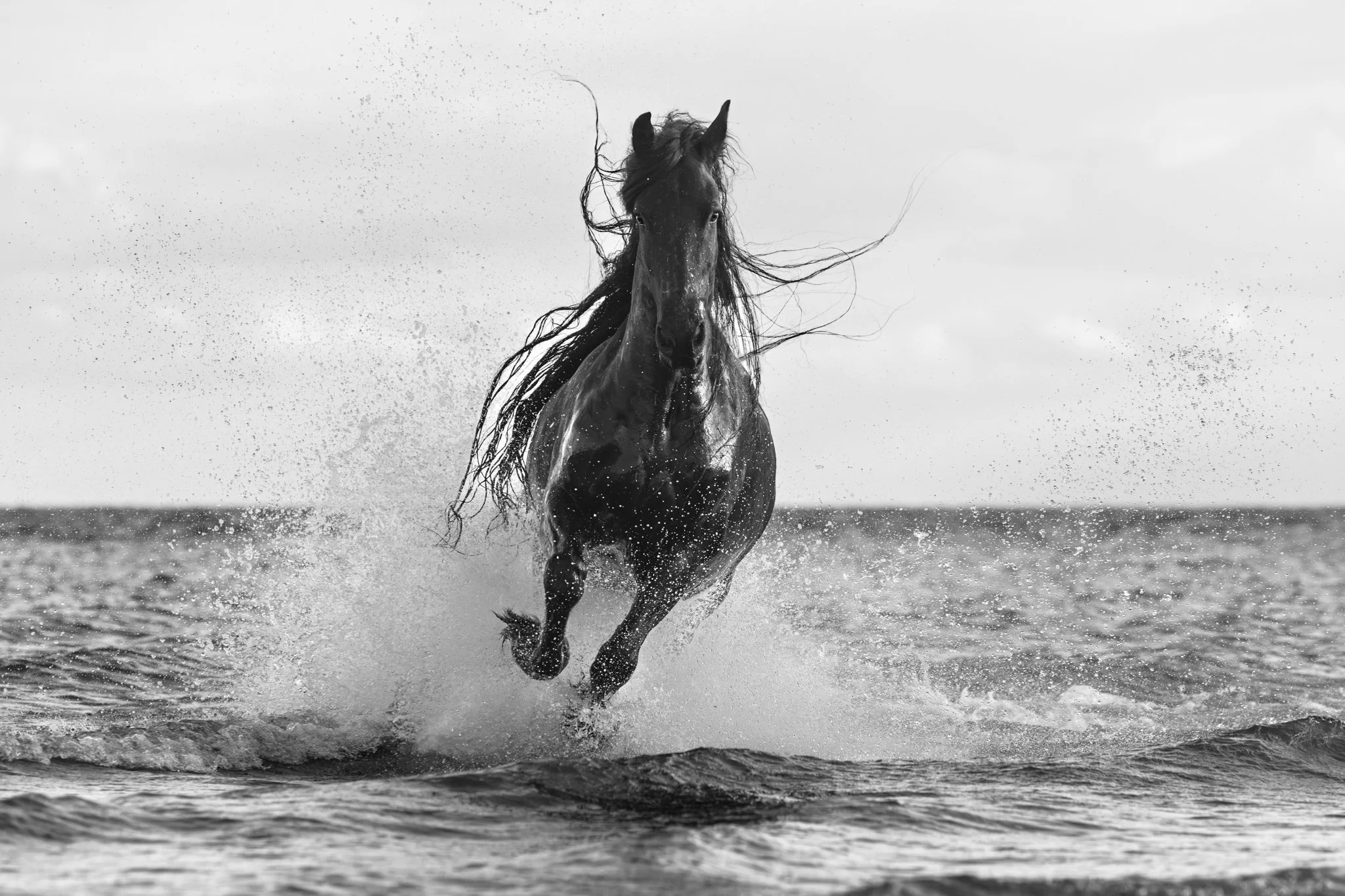 Wild and free