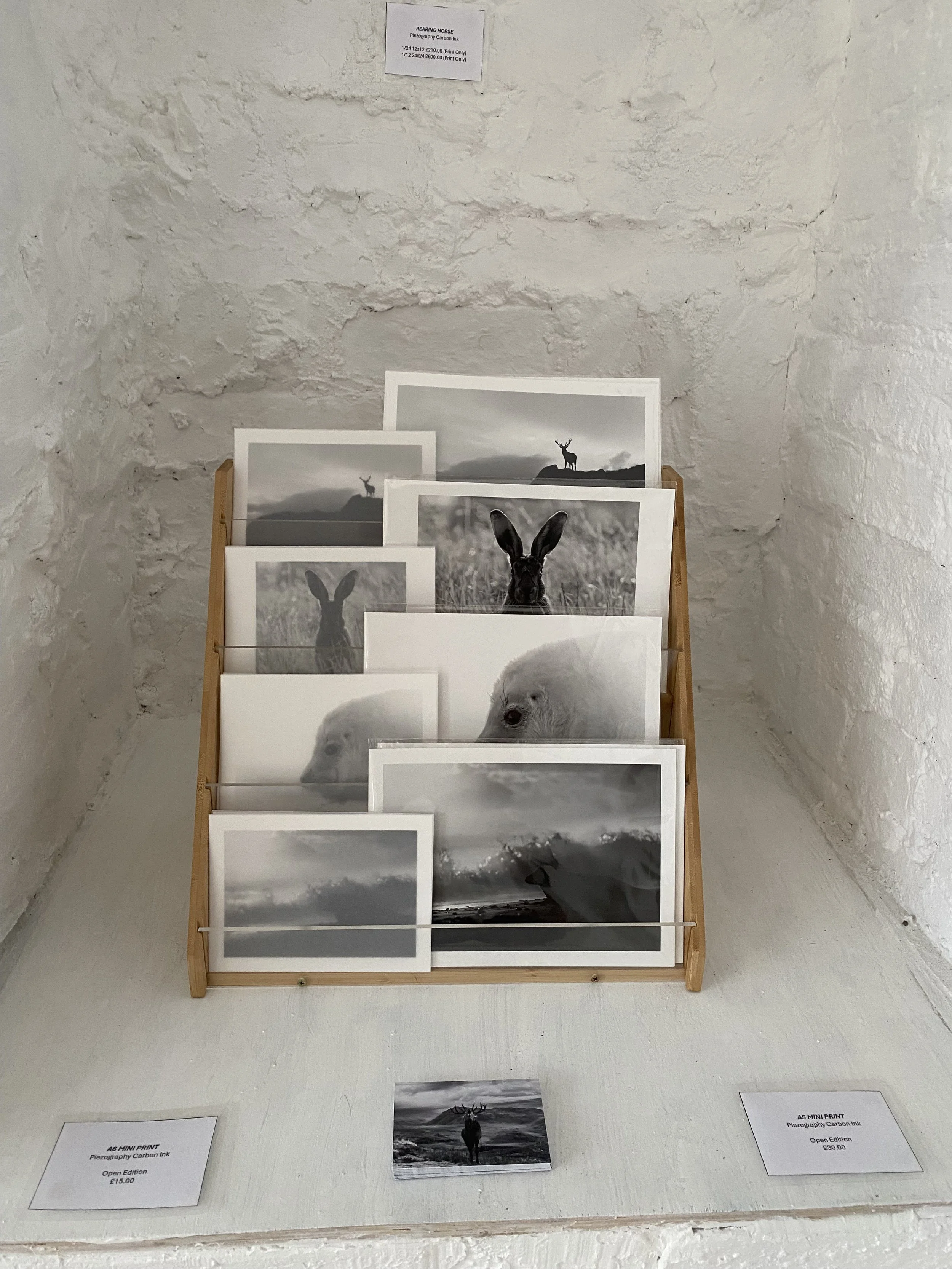 My selection of mini prints on display