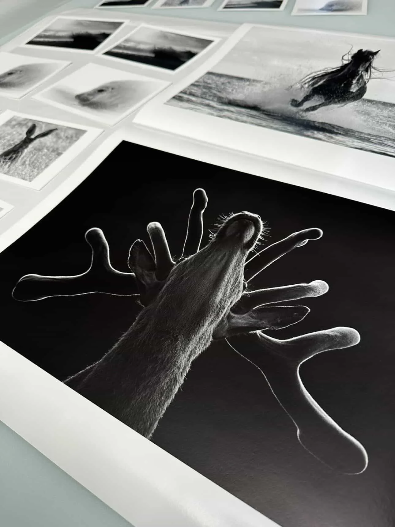 Each one of Ian Hull photography fine art prints is closely inspected for quality control