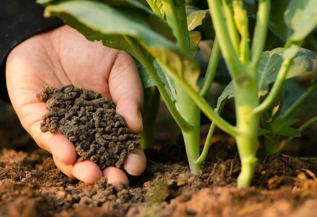 Minerals & Fertilizer 