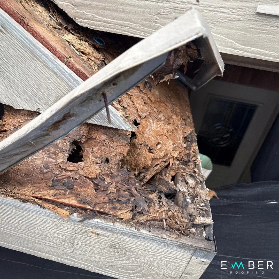Decking Damage of the Week!

When getting a new roof, going down to the decking isn&rsquo;t optional; it&rsquo;s essential. Damaged or rotted decking can&rsquo;t hold nails properly, which means your brand-new shingles won&rsquo;t last.

At Ember, we