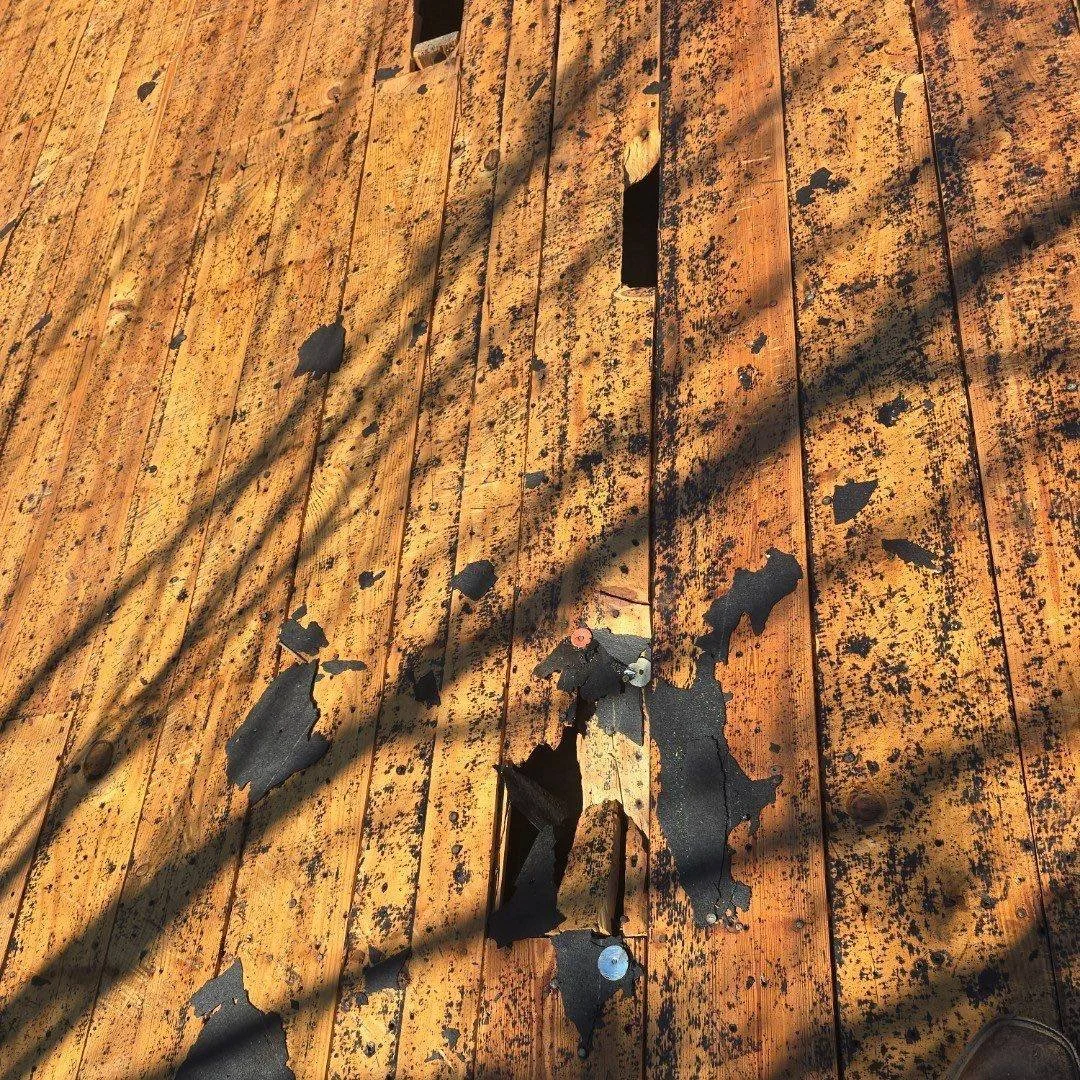 Decking Damage of the Week!

When getting a new roof, going down to the decking isn&rsquo;t optional; it&rsquo;s essential. Damaged or rotted decking can&rsquo;t hold nails properly, which means your brand-new shingles won&rsquo;t last.

At Ember, we