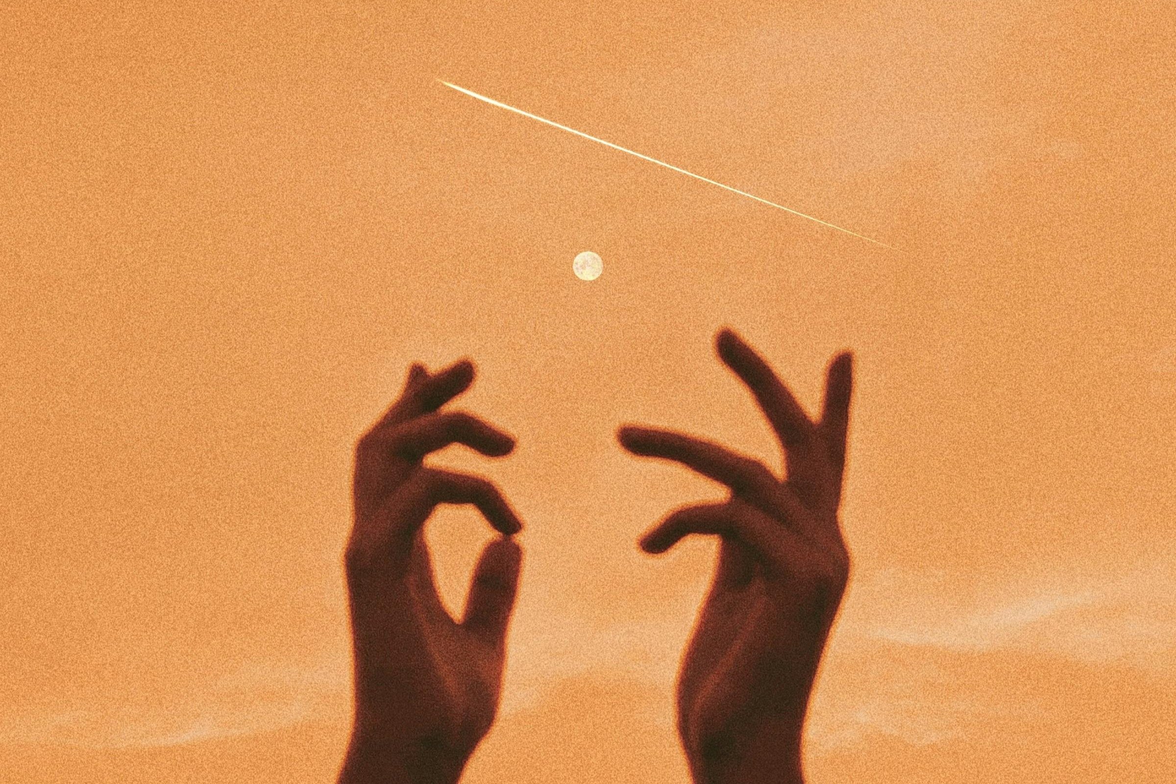 pexels-shaarannnnn-8171089.jpg