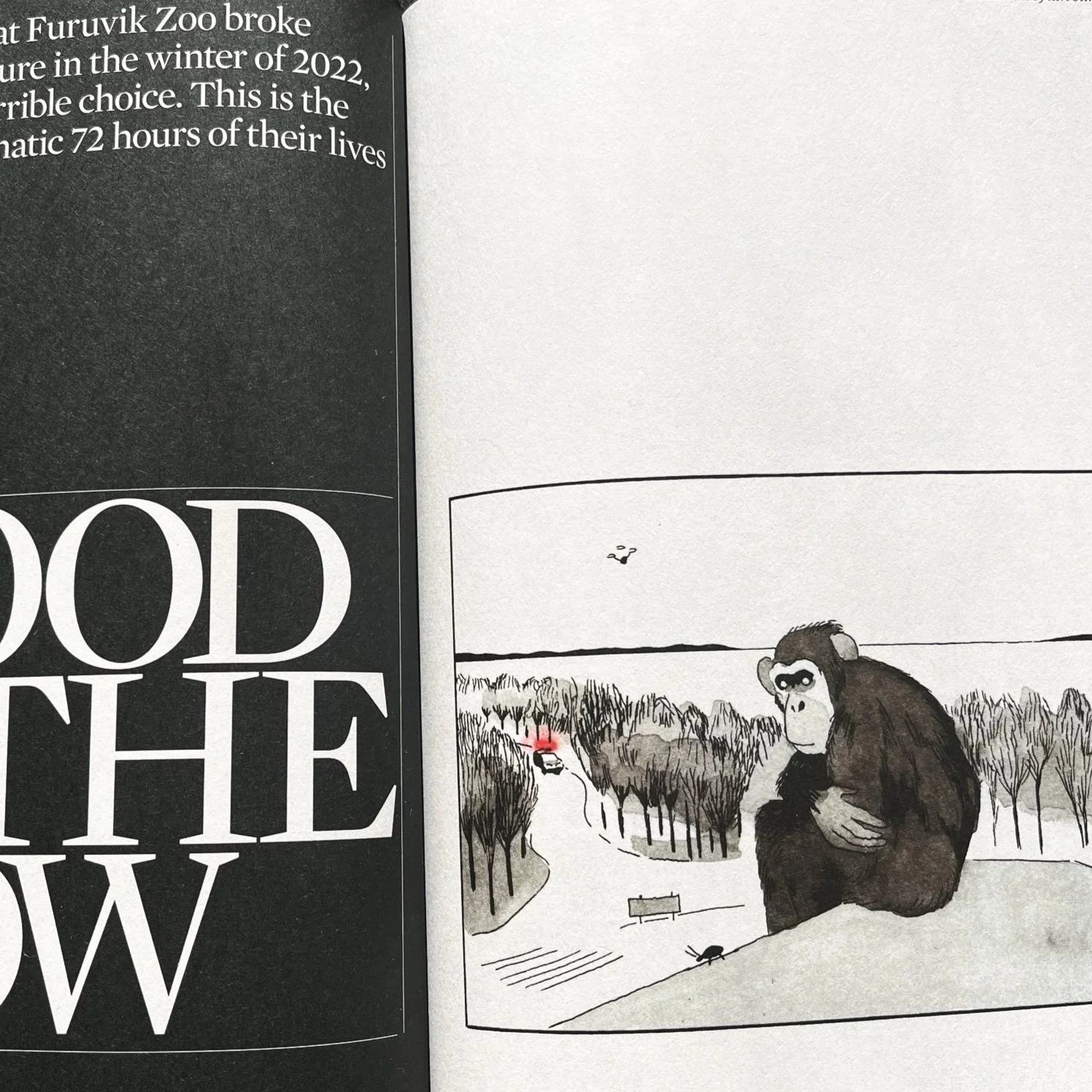 The Guardian Long Read