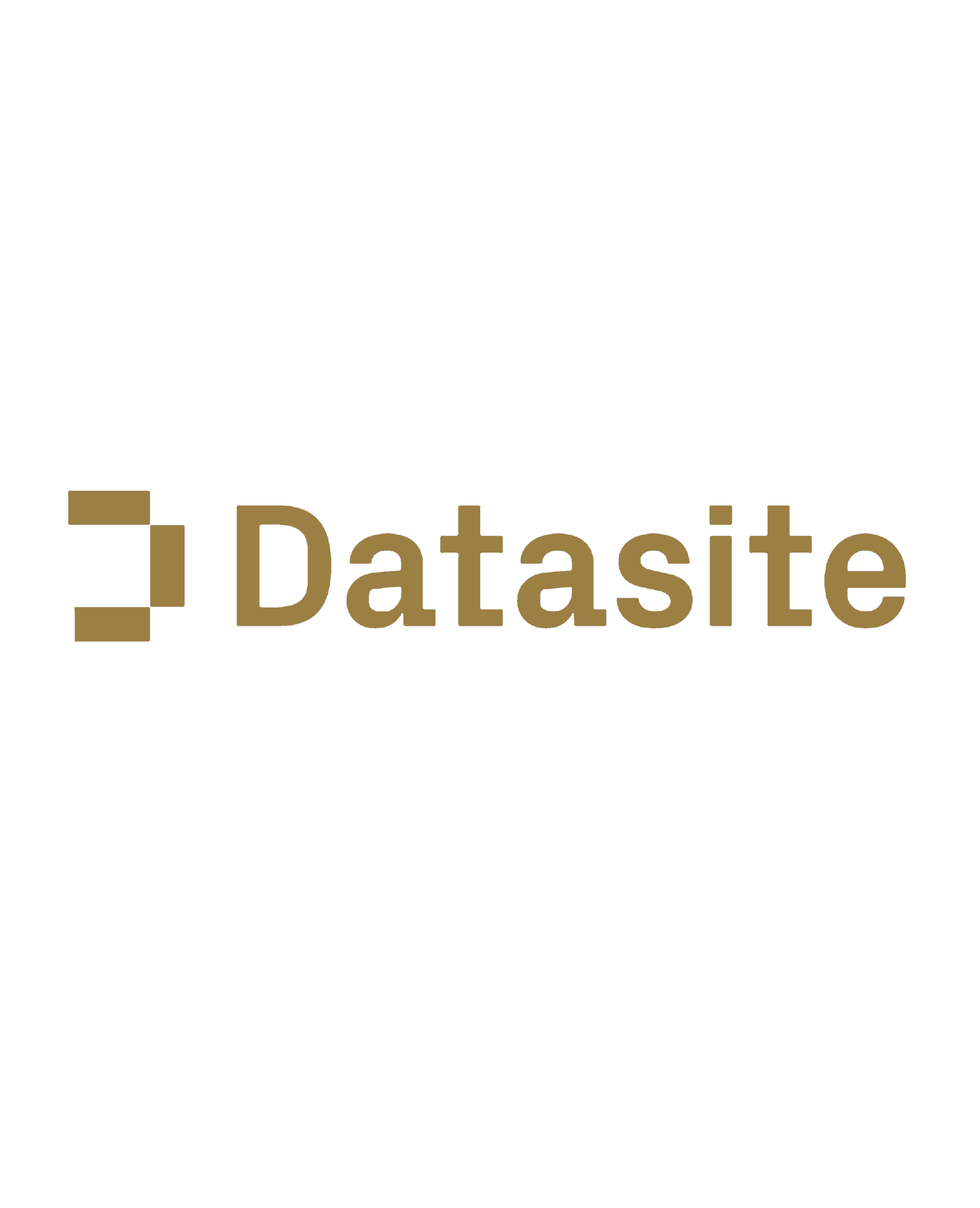 DARK BACKGROUND WITH THE WORD 'Datasite' IN GOLDEN BROWN LETTERS AND A LOGO ICON TO THE LEFT