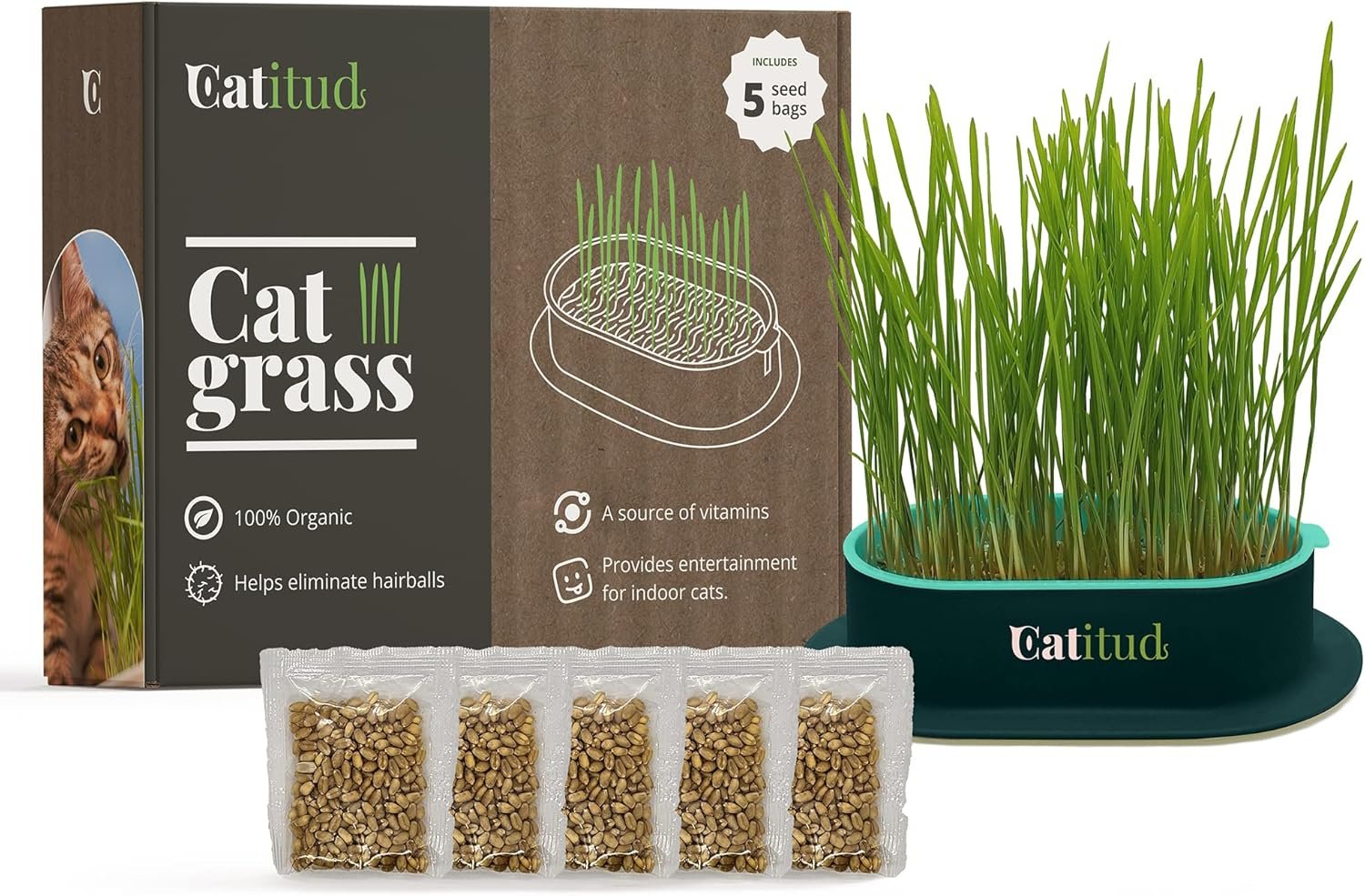 Cat Grass Grow Kit