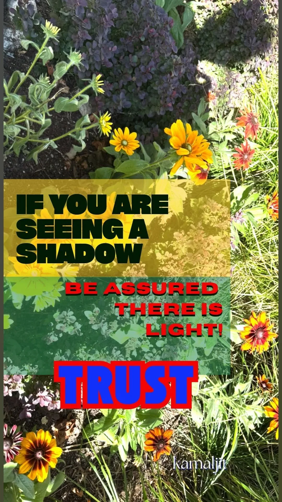 Light and Shadow.jpeg