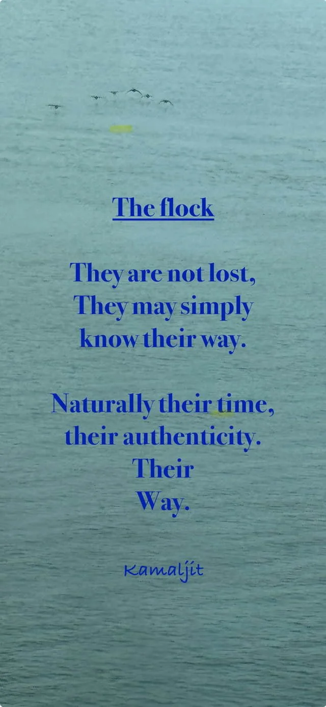 Story About The Flock.jpg