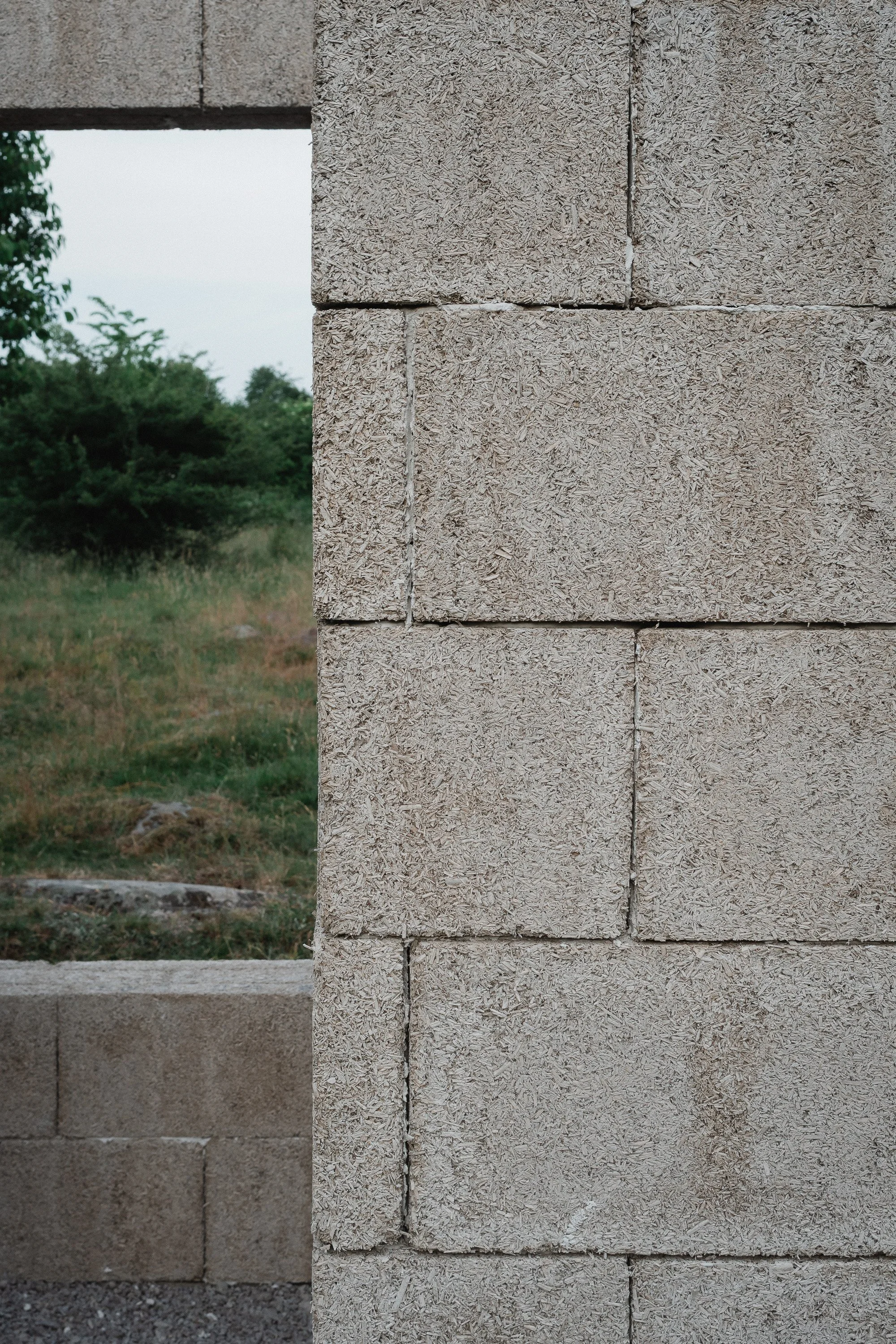 _DSC9991.jpg