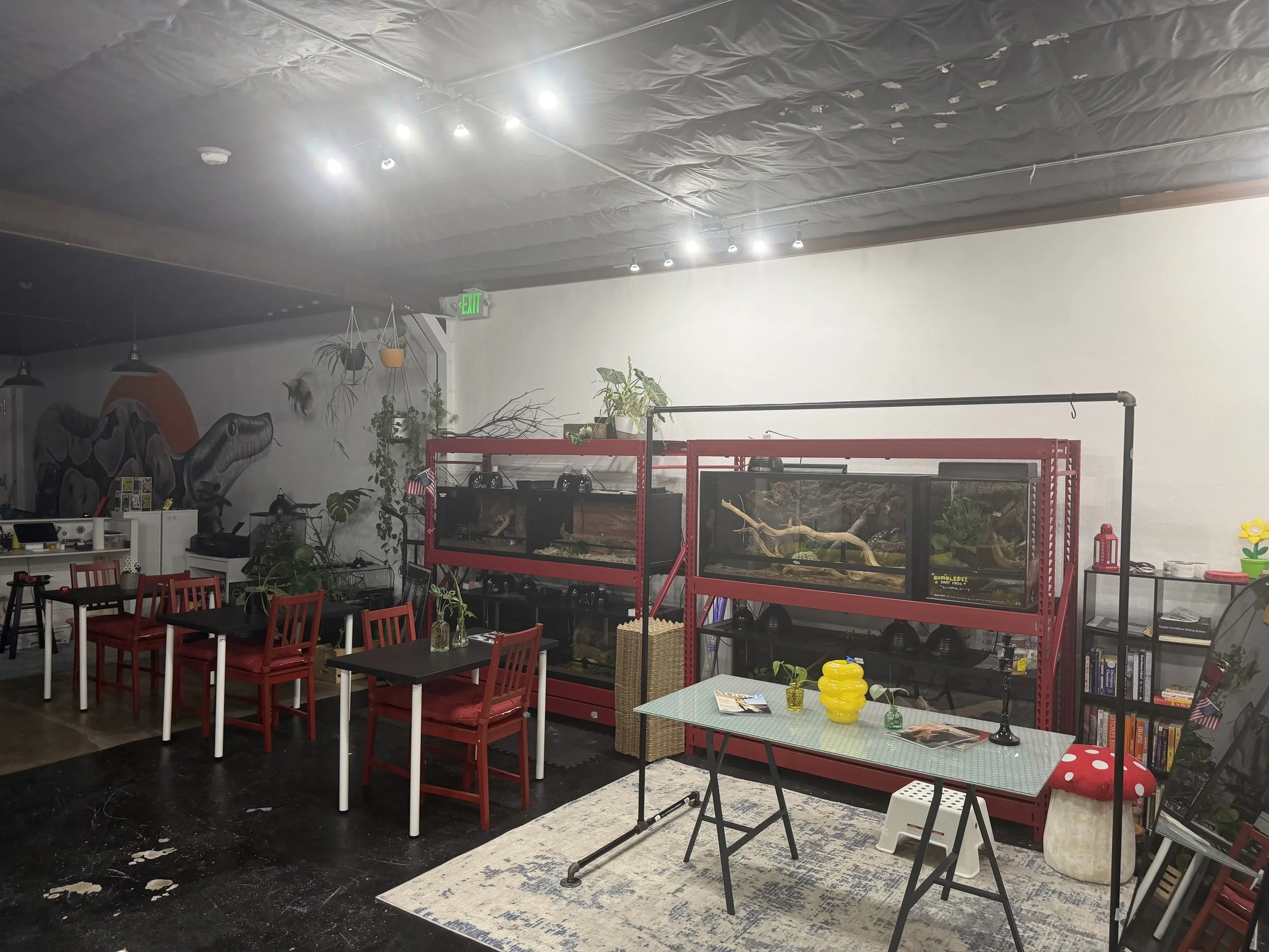 Interior of a cafe or restaurant with red and black chairs, plants, and a large aquarium on a red stand. The ceiling is under construction with plastic sheeting and lights. There is a mural of a dinosaur on the wall, and various decorations and books on shelves.