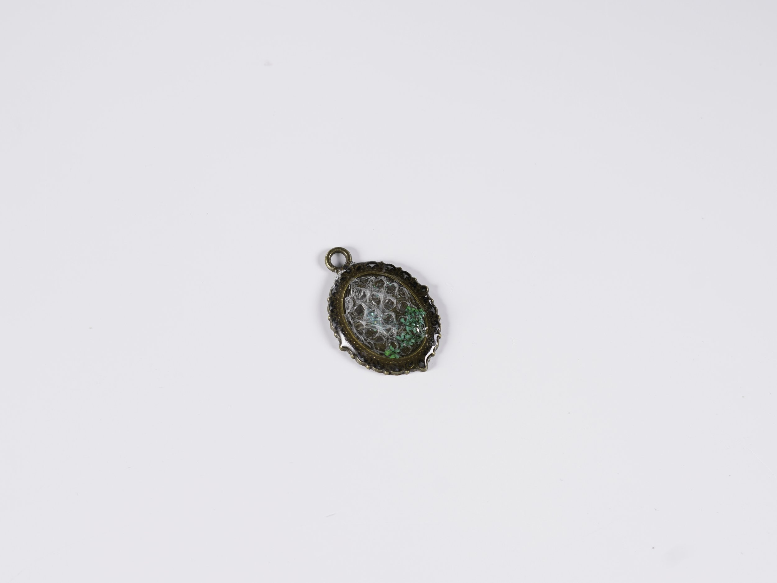 Pendant with Snake Shed