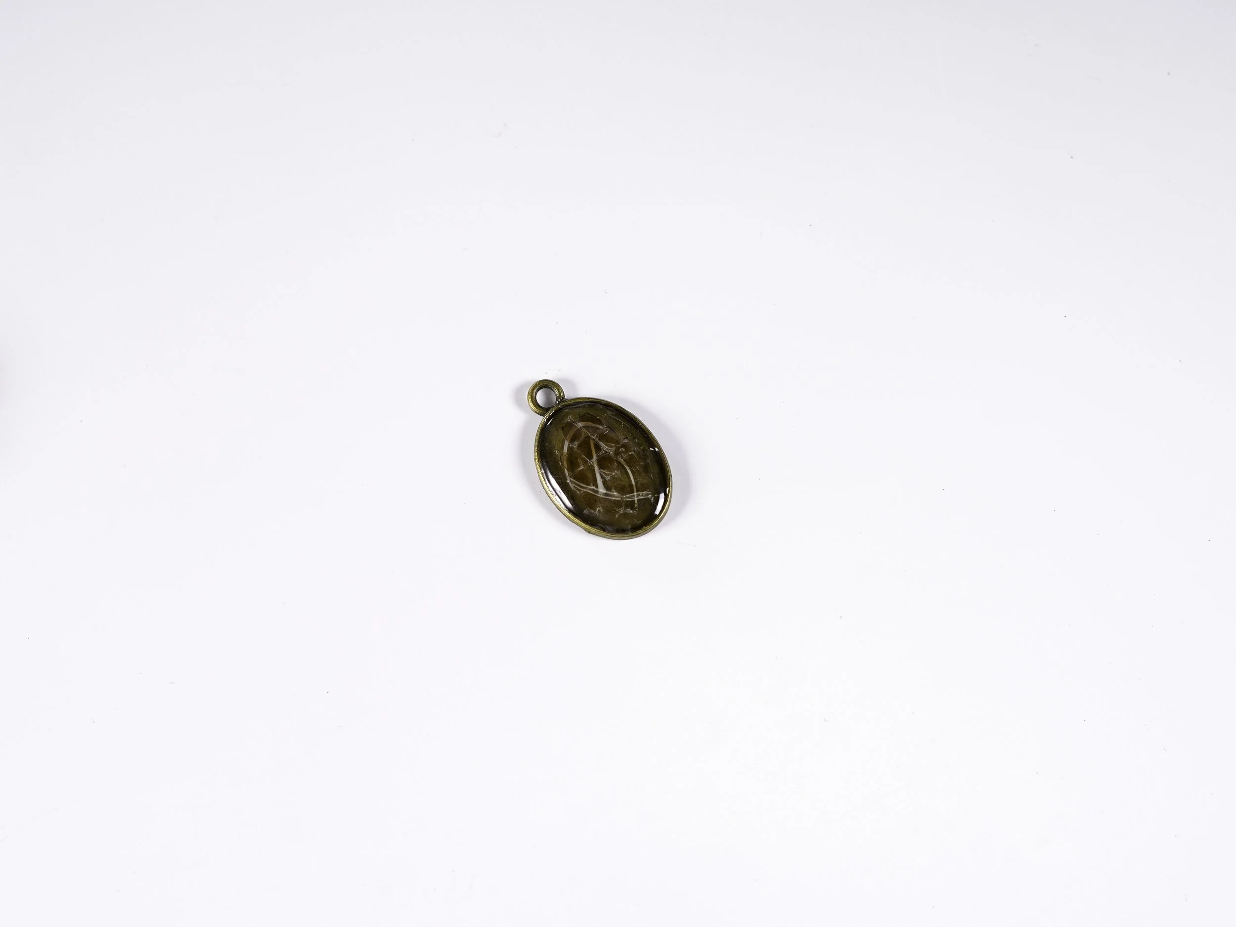 Pendant with Rodent Bones and Snake Shed