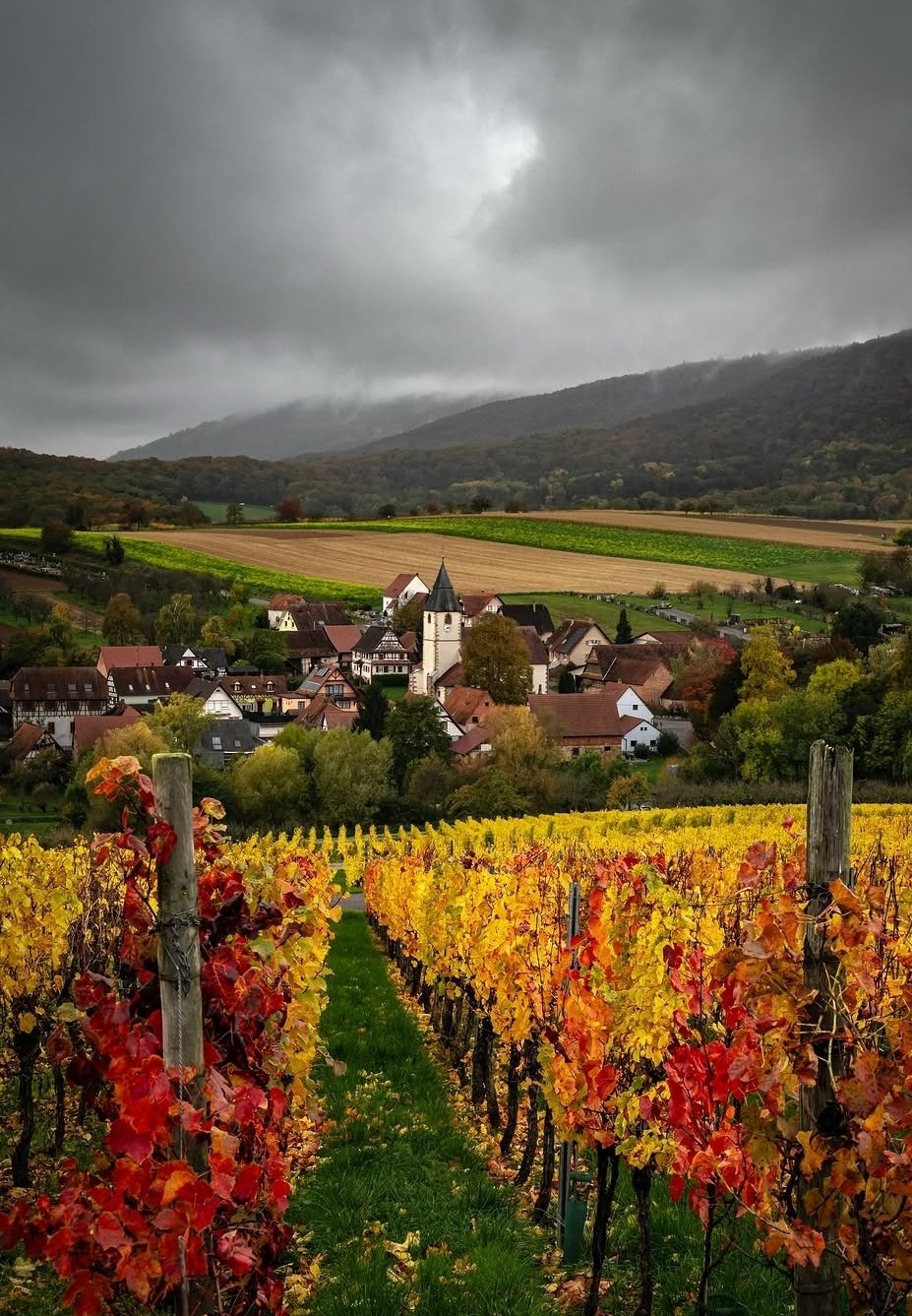alsace view autumn