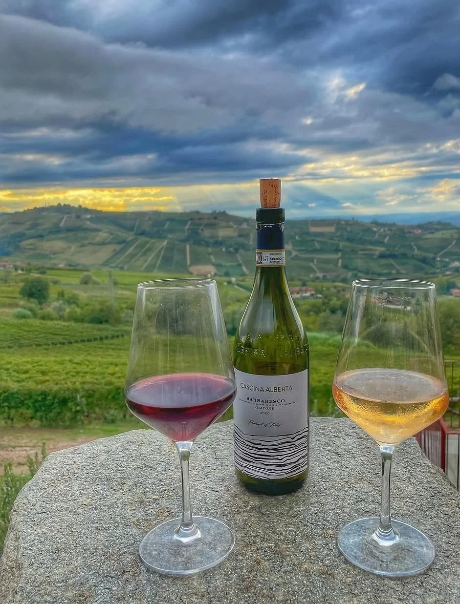 bra, italy , vineyard