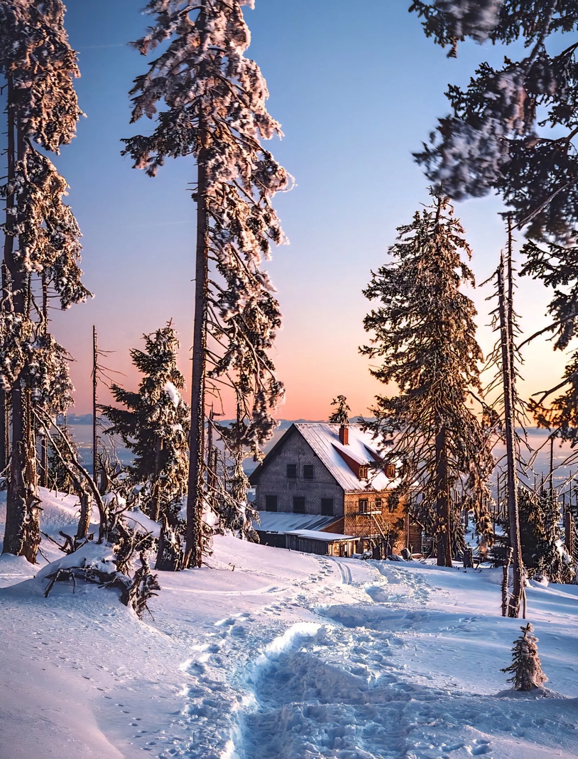 Cozy walk bavaria forest