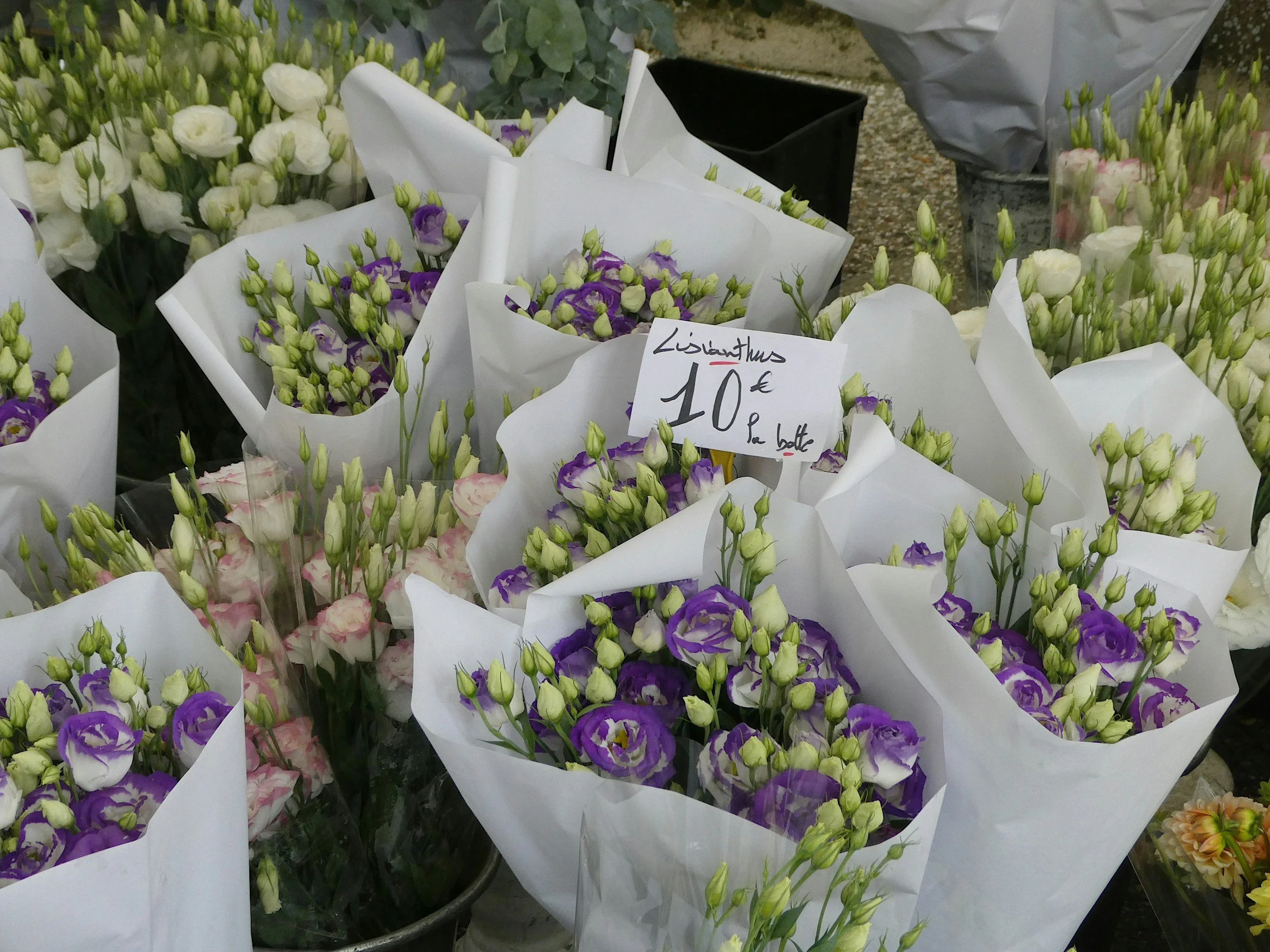 flowers at Enghien-les-Bains market