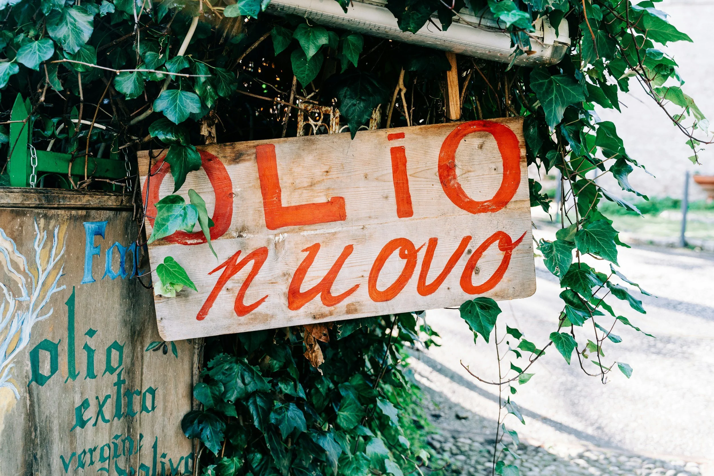 olive oil italy