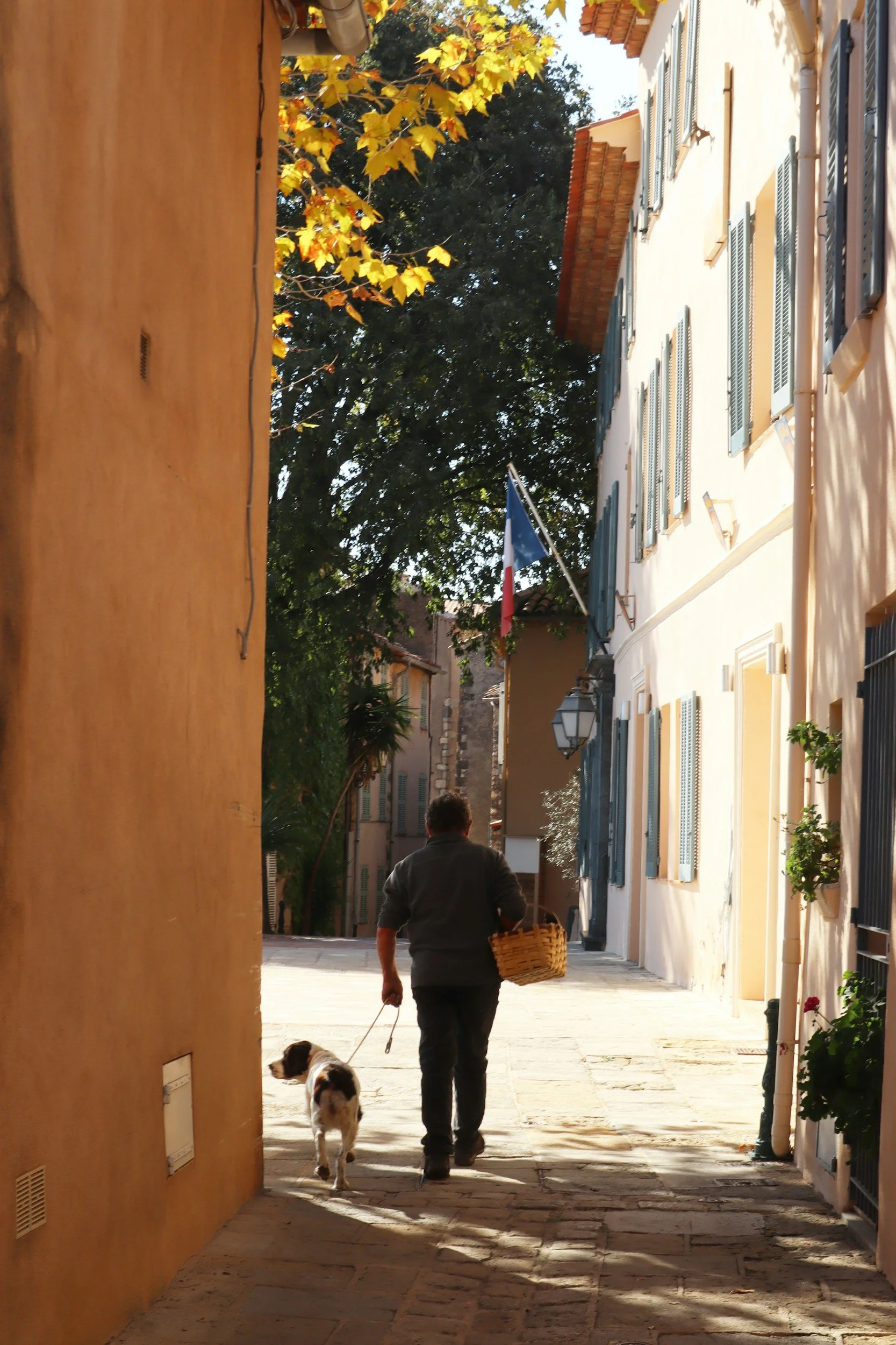 provence street man