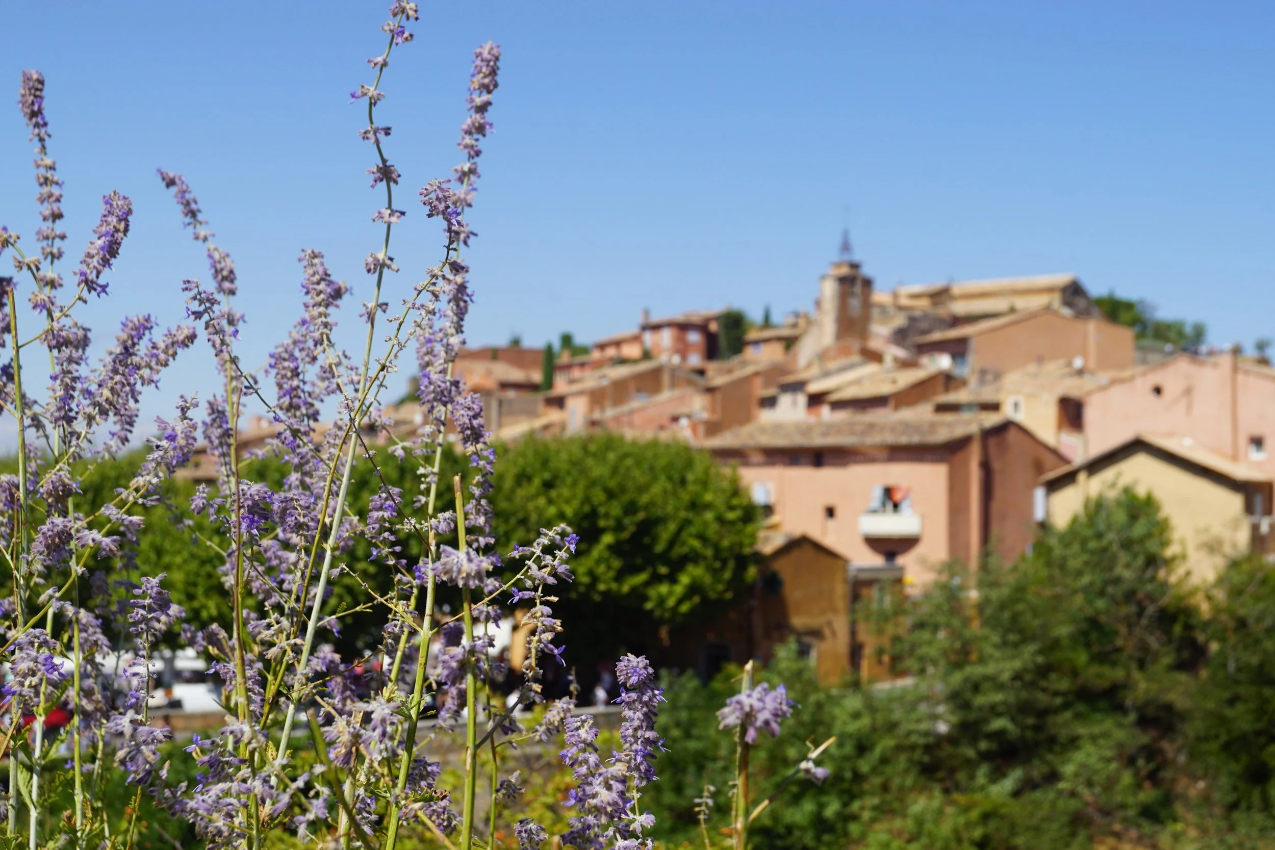 provence nature