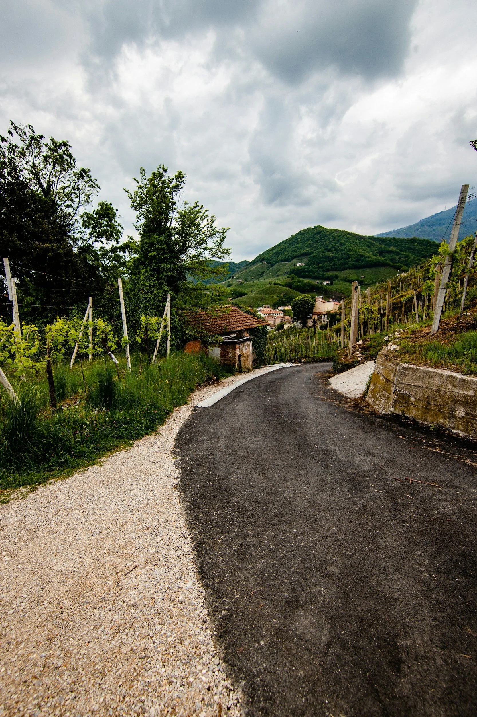 PROSECCO hills view