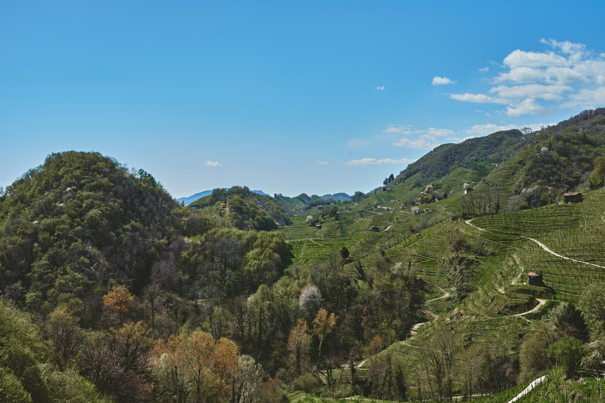 prosecco hills italy view
