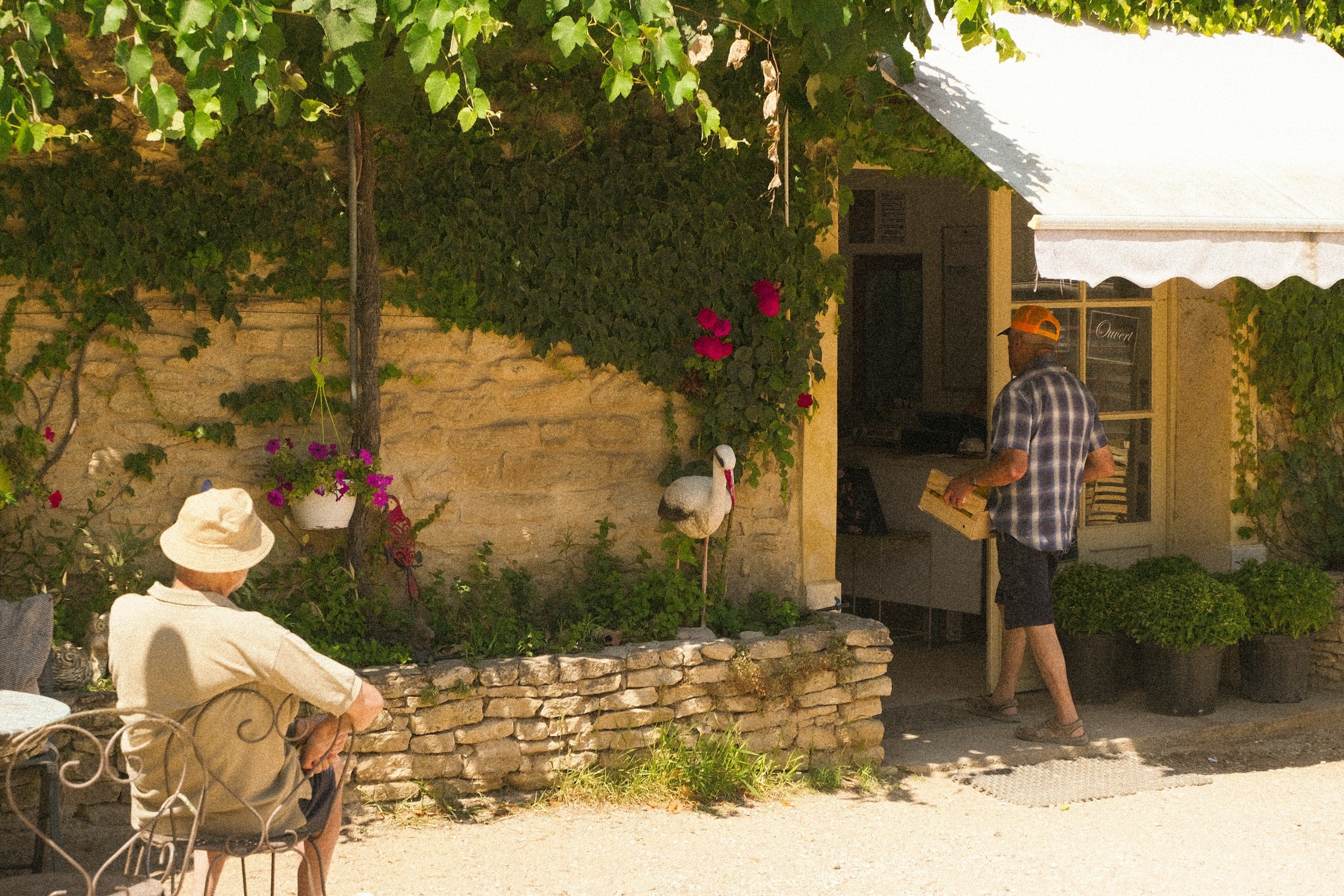provence market deliveries