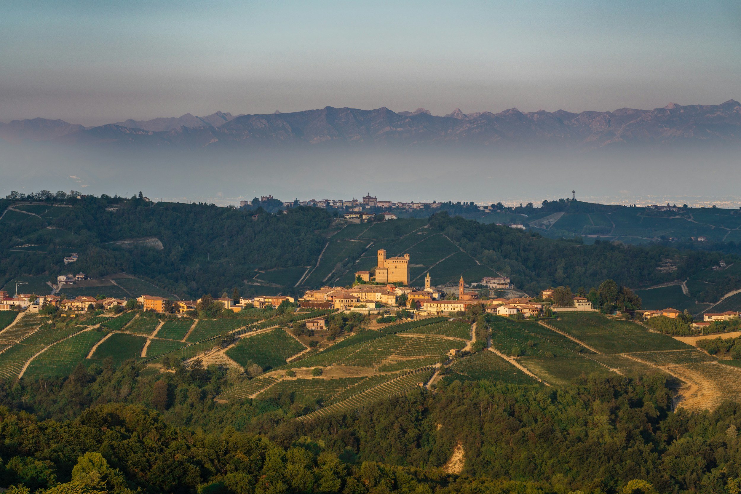 barolo vineyard view