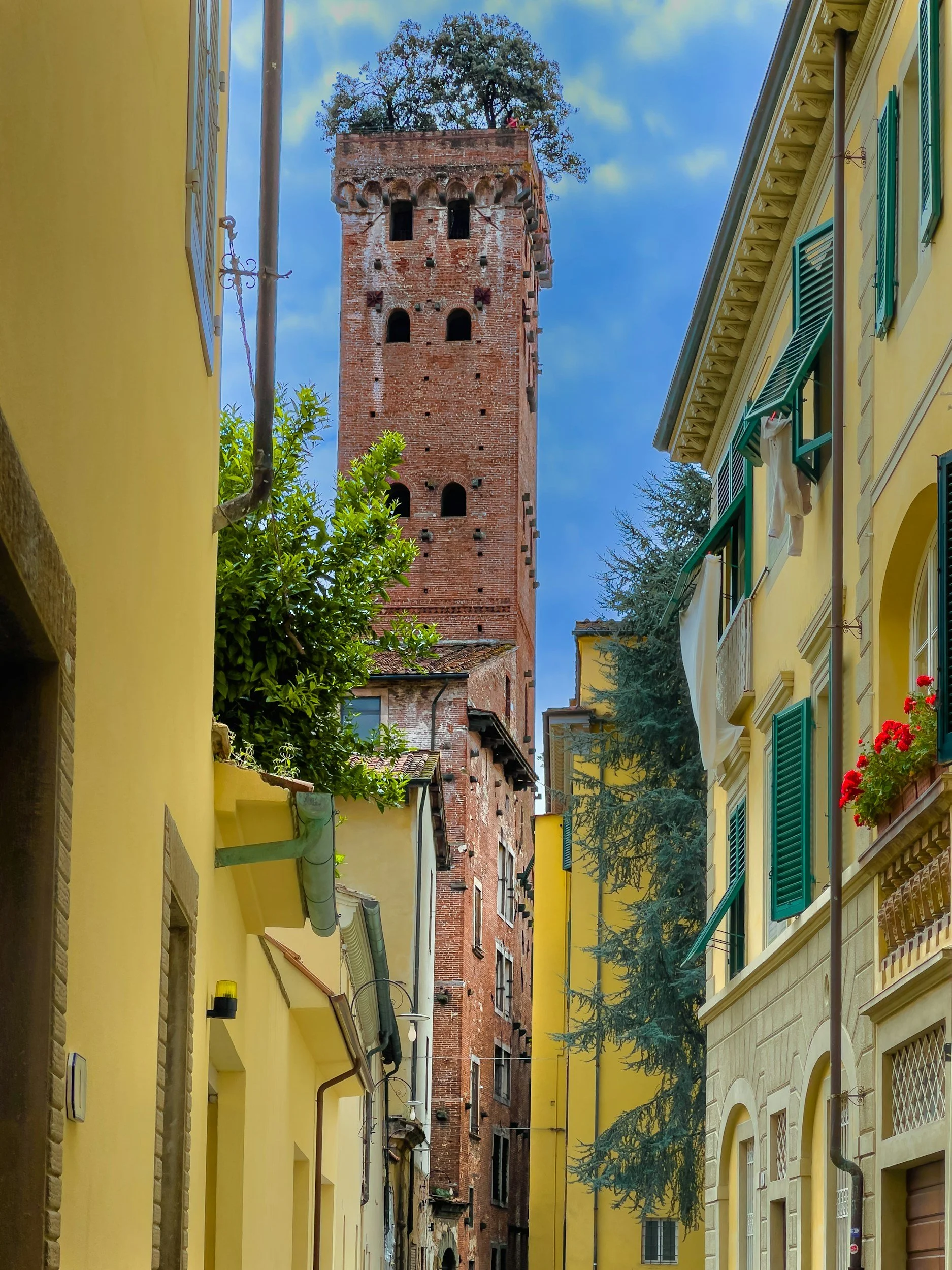 lucca street