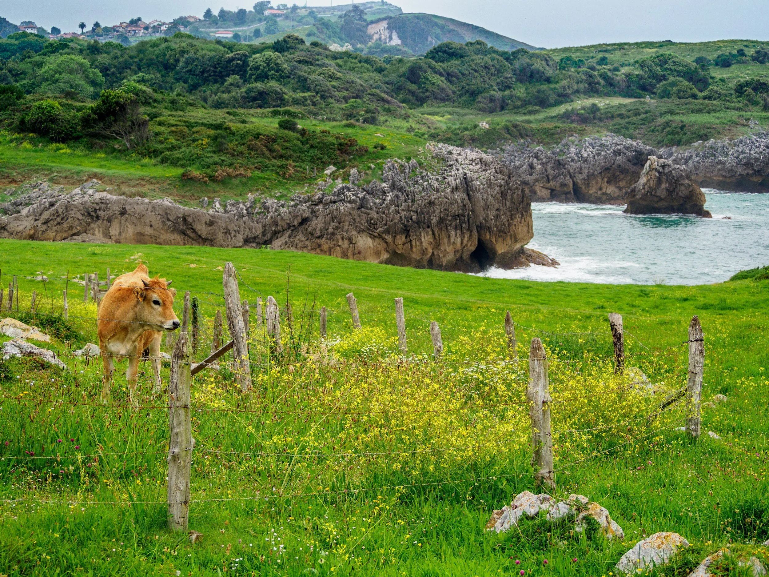 nature in asturias