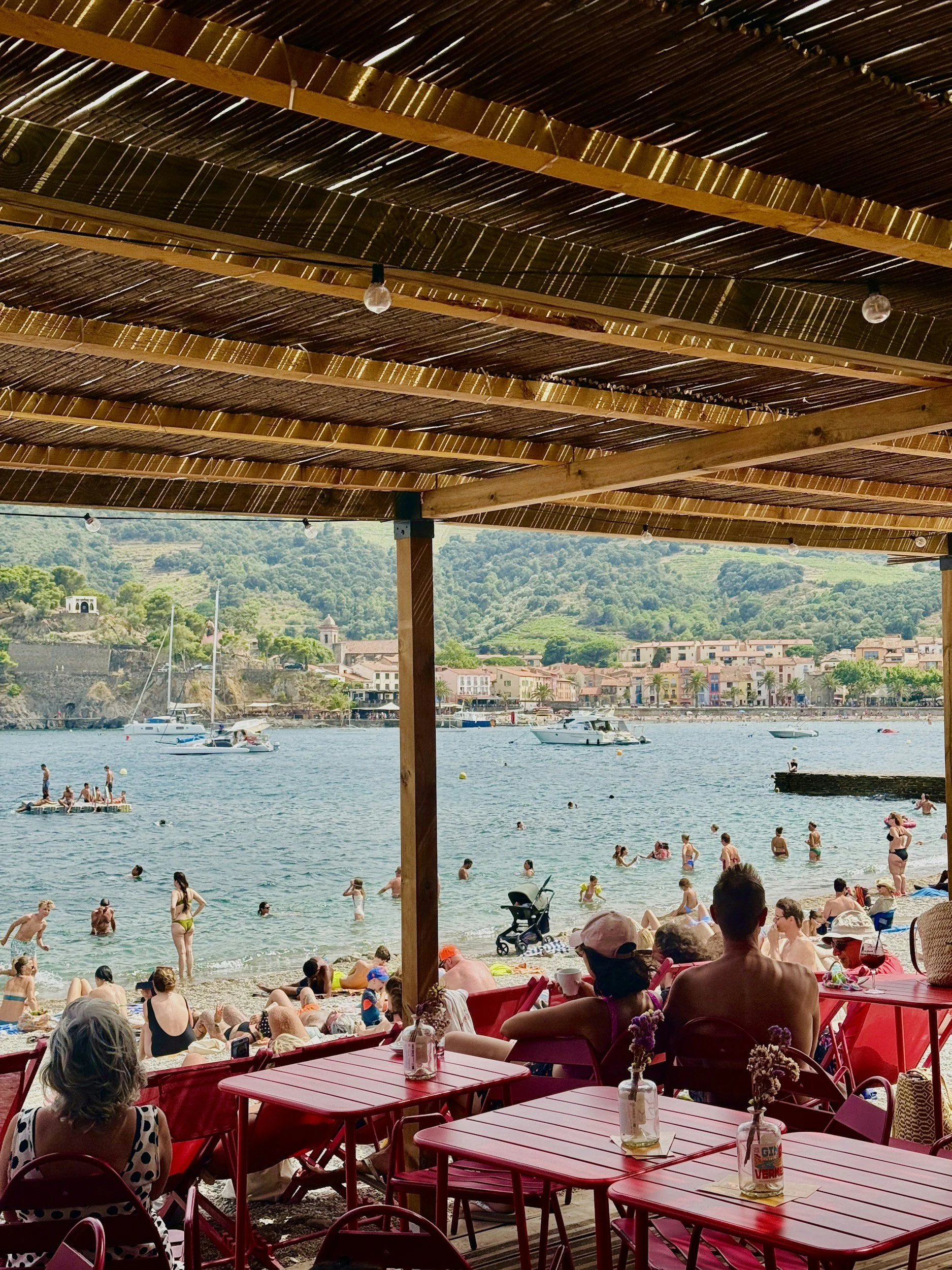 Collioure coast
