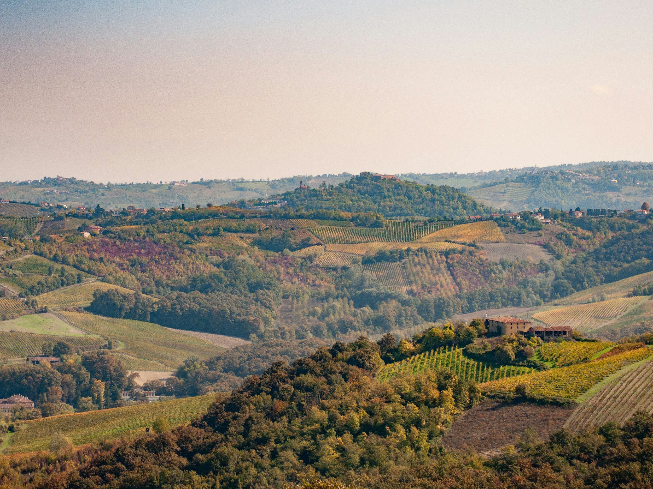 view over la morra.jpg