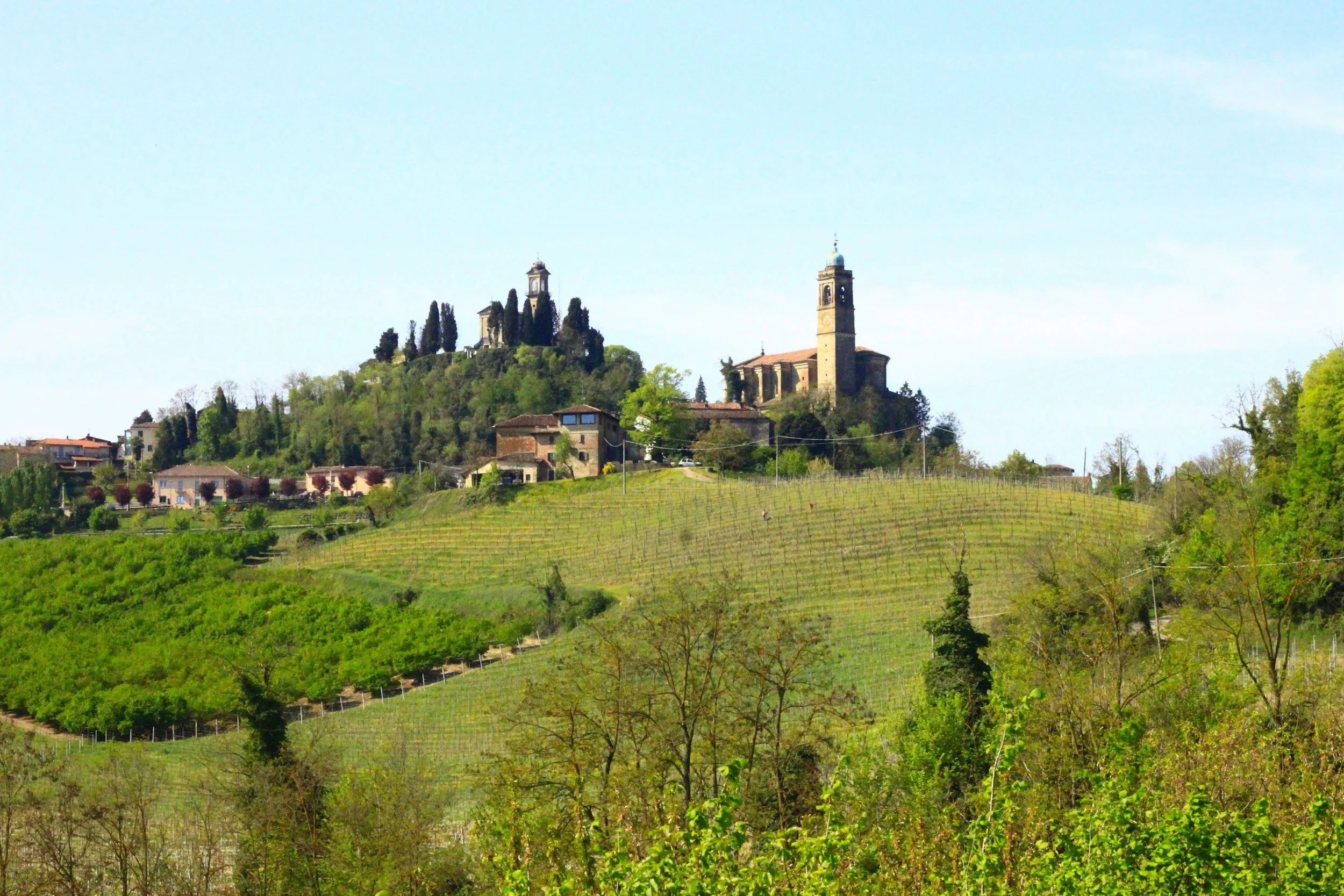 Piedmont