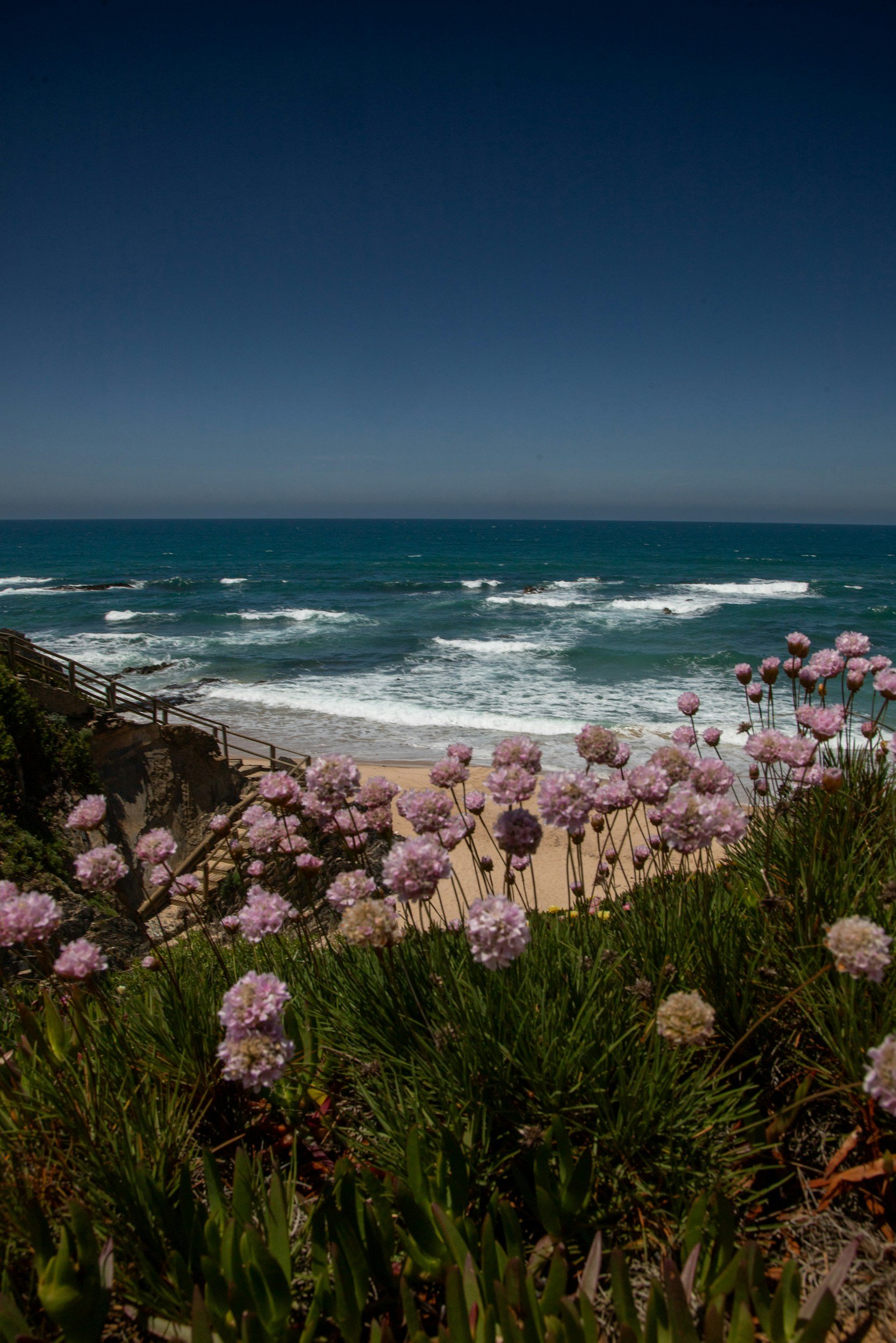 Coastal Trail