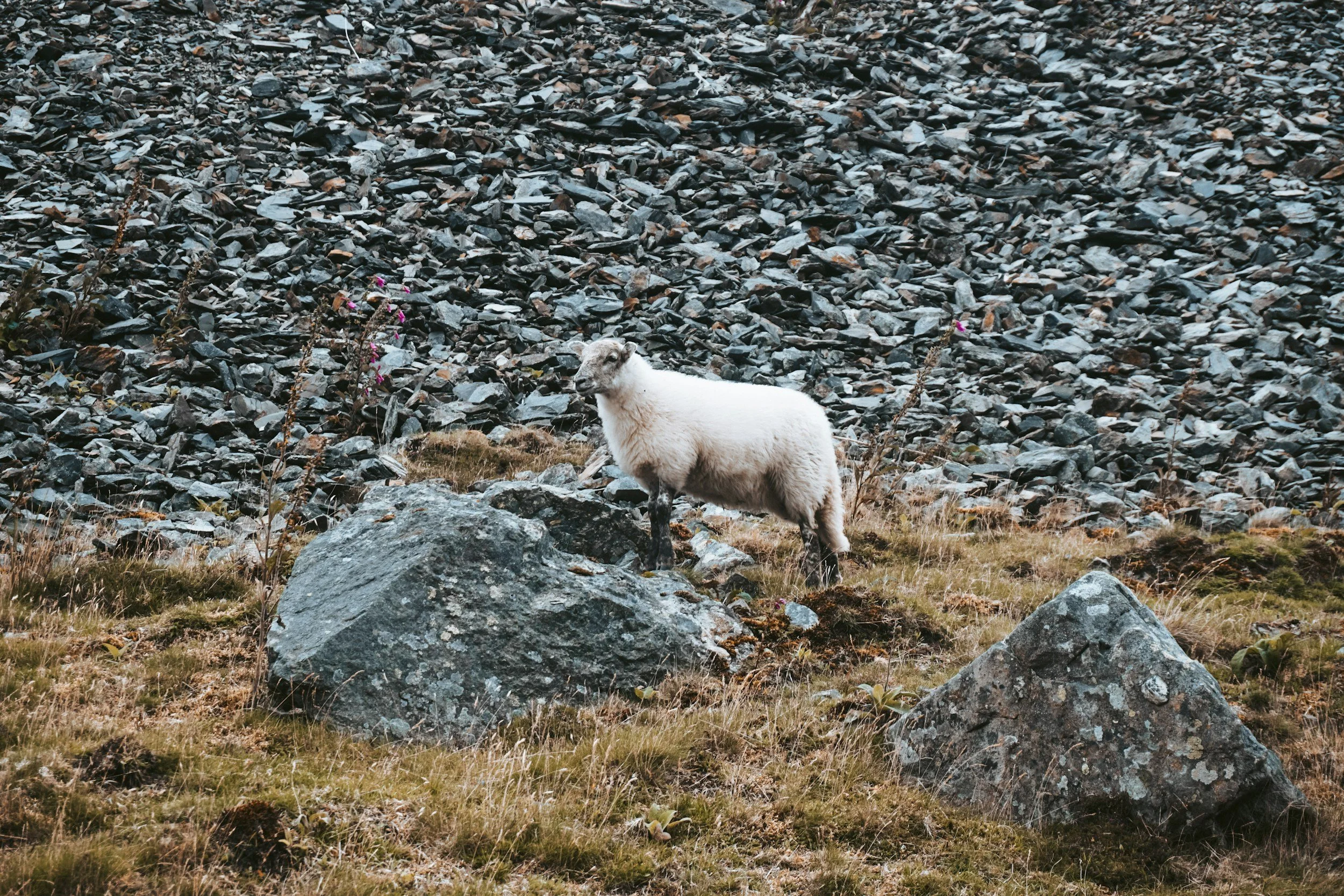 elan valley