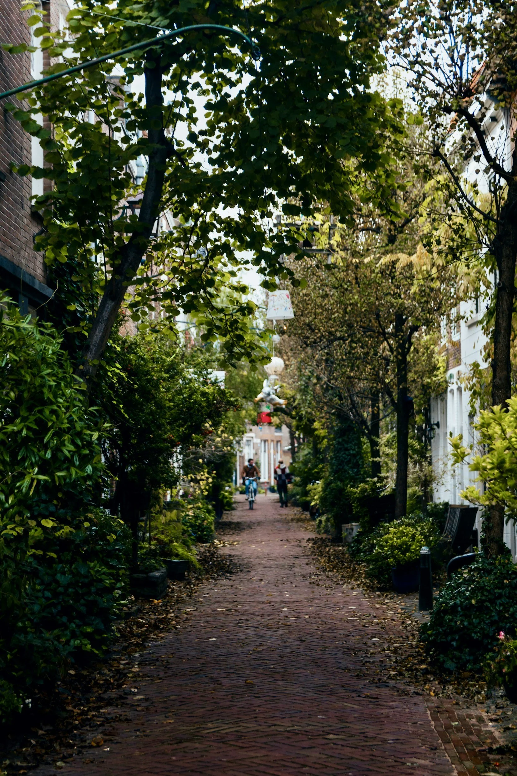 Haarlem