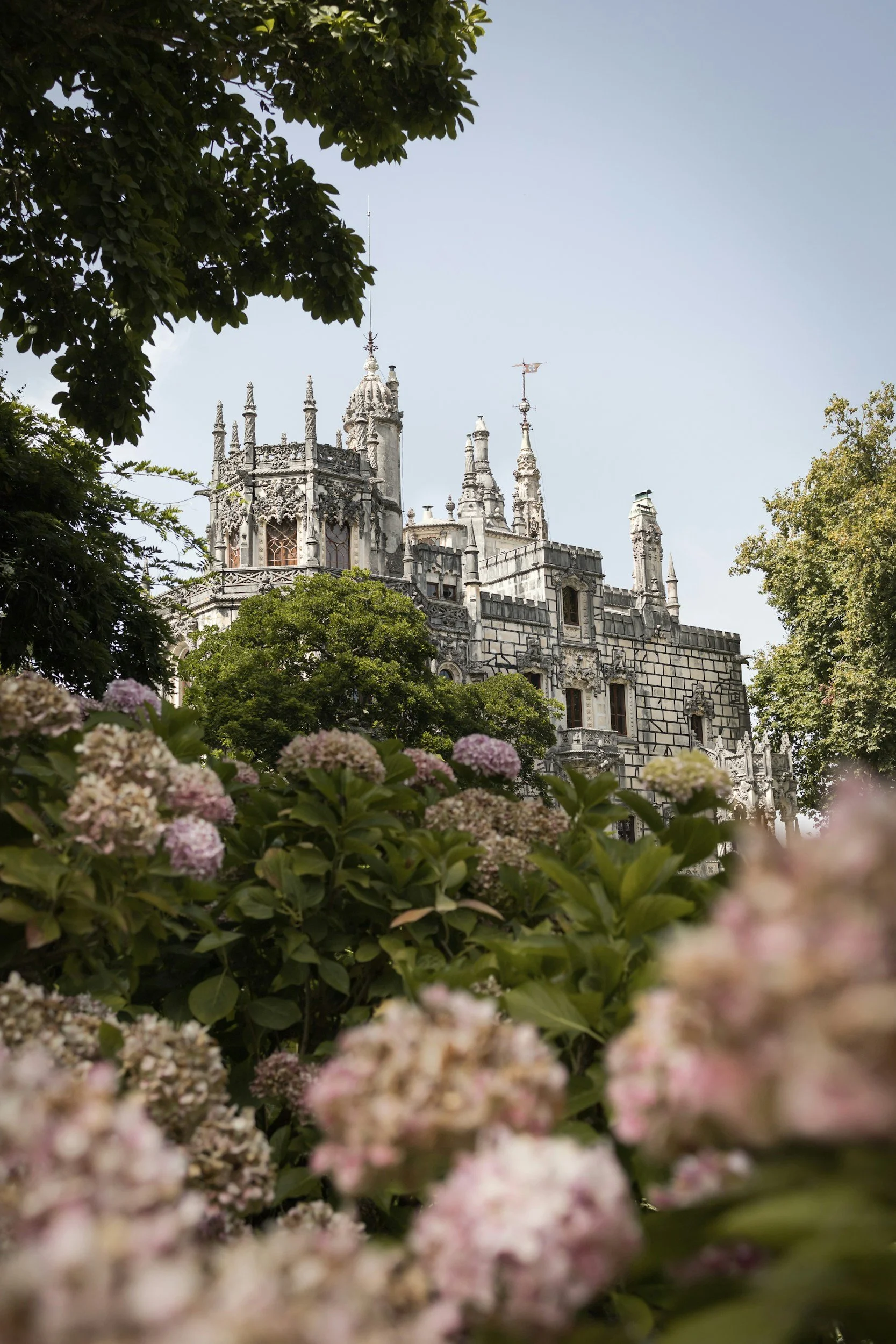 sintra garden