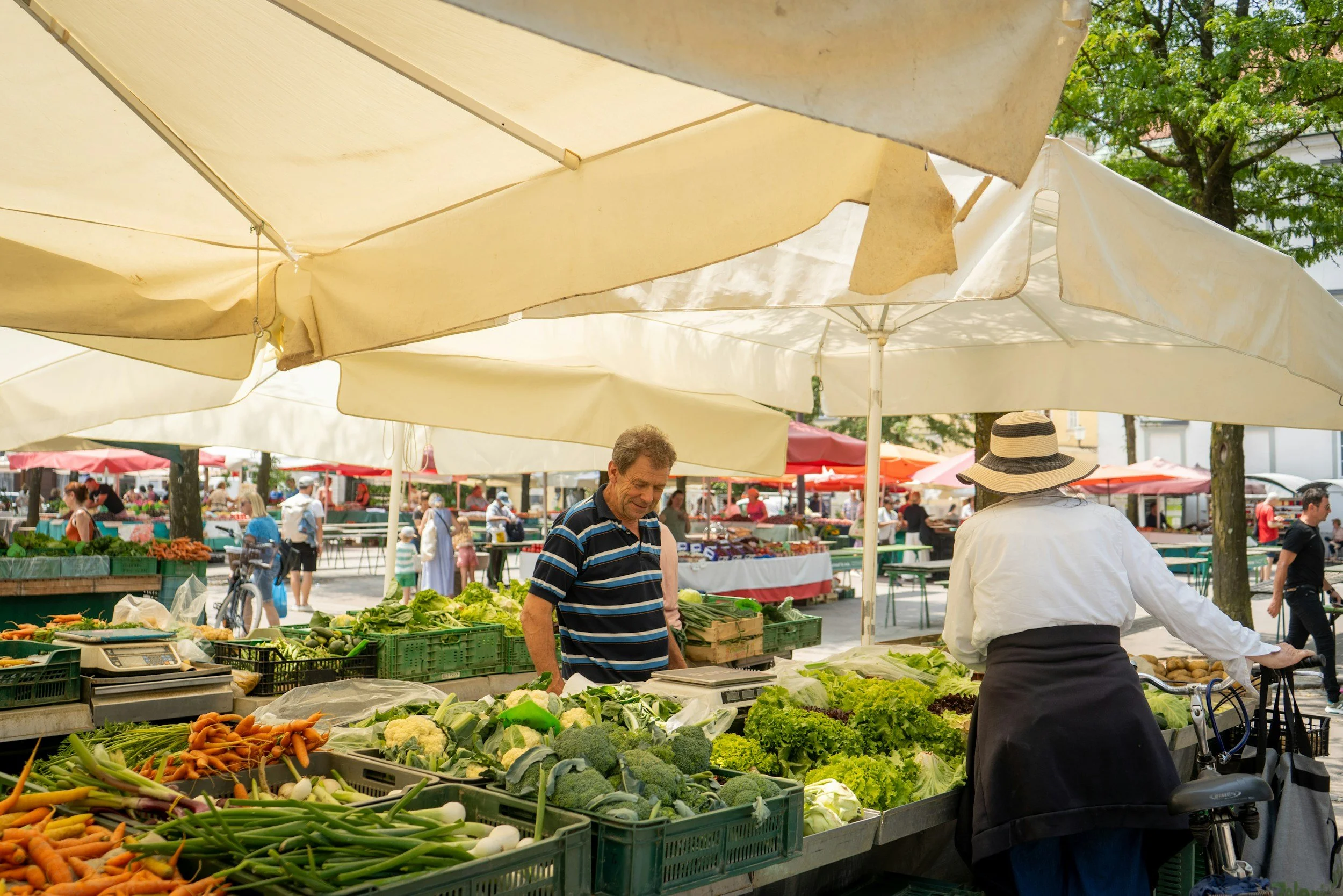 Ljubljana market