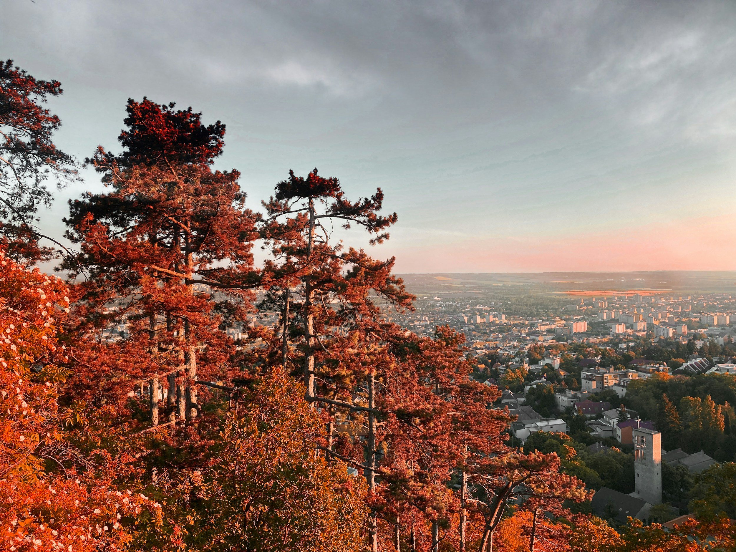 Pécs view
