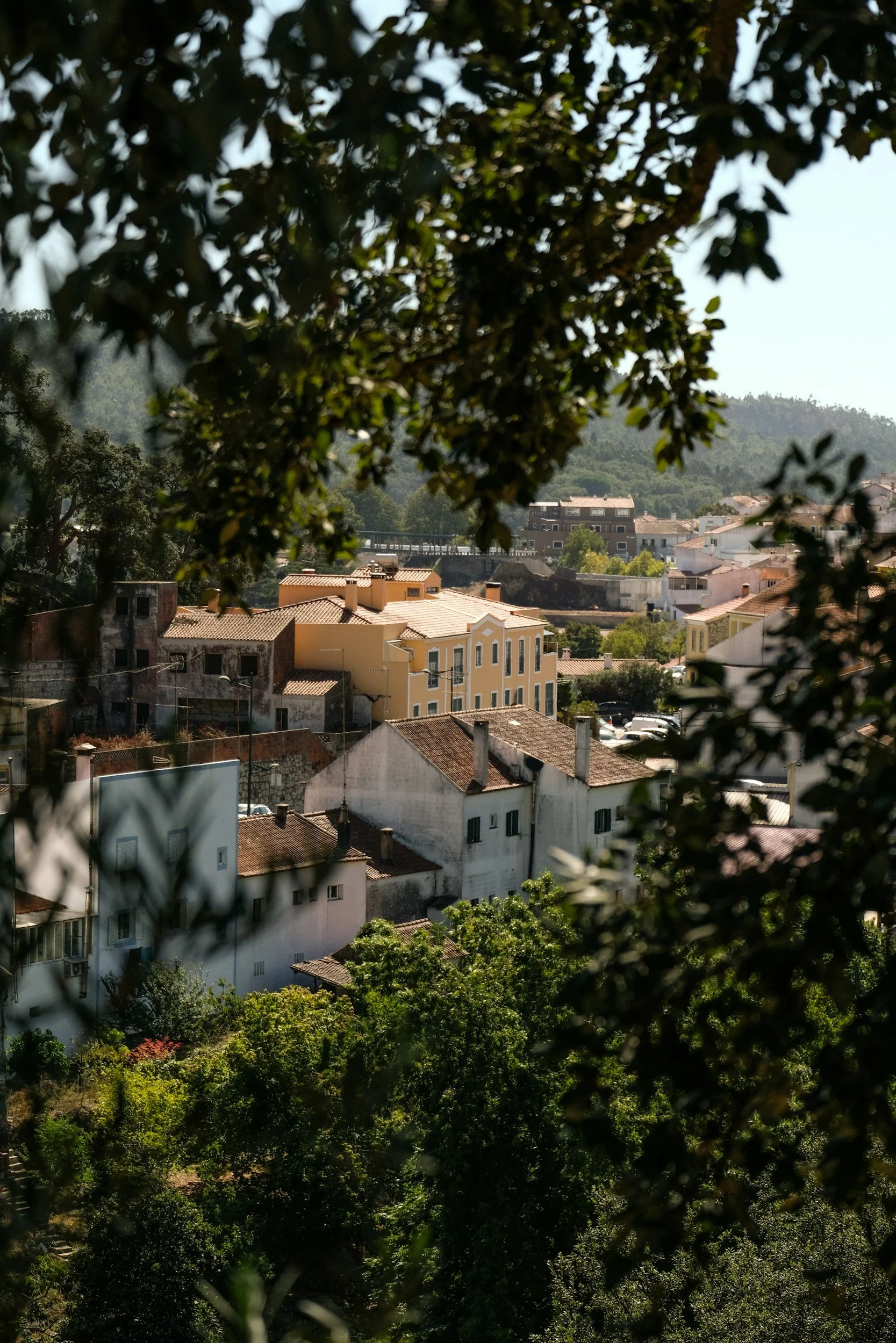 Monchique