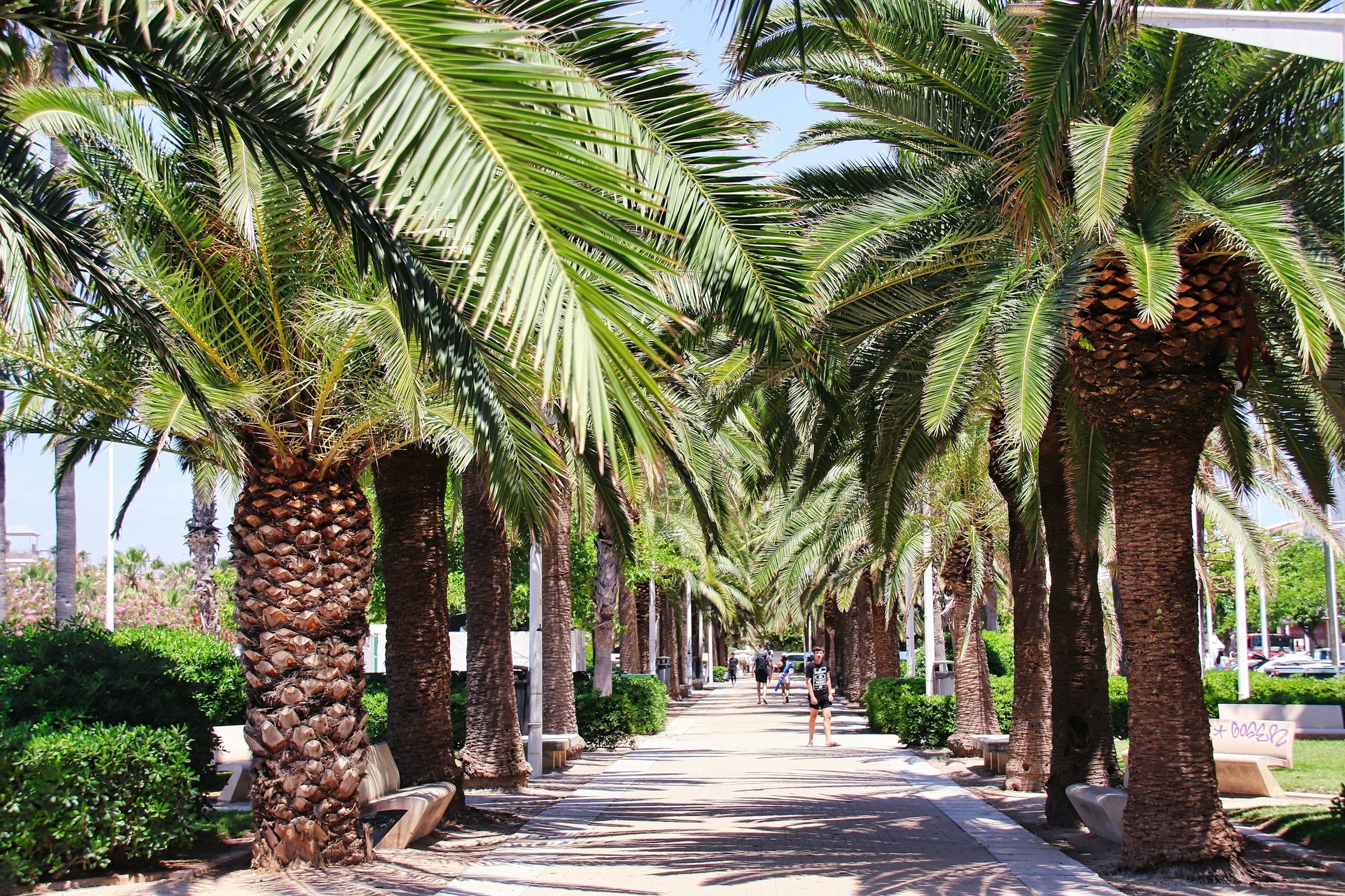 valencia garden