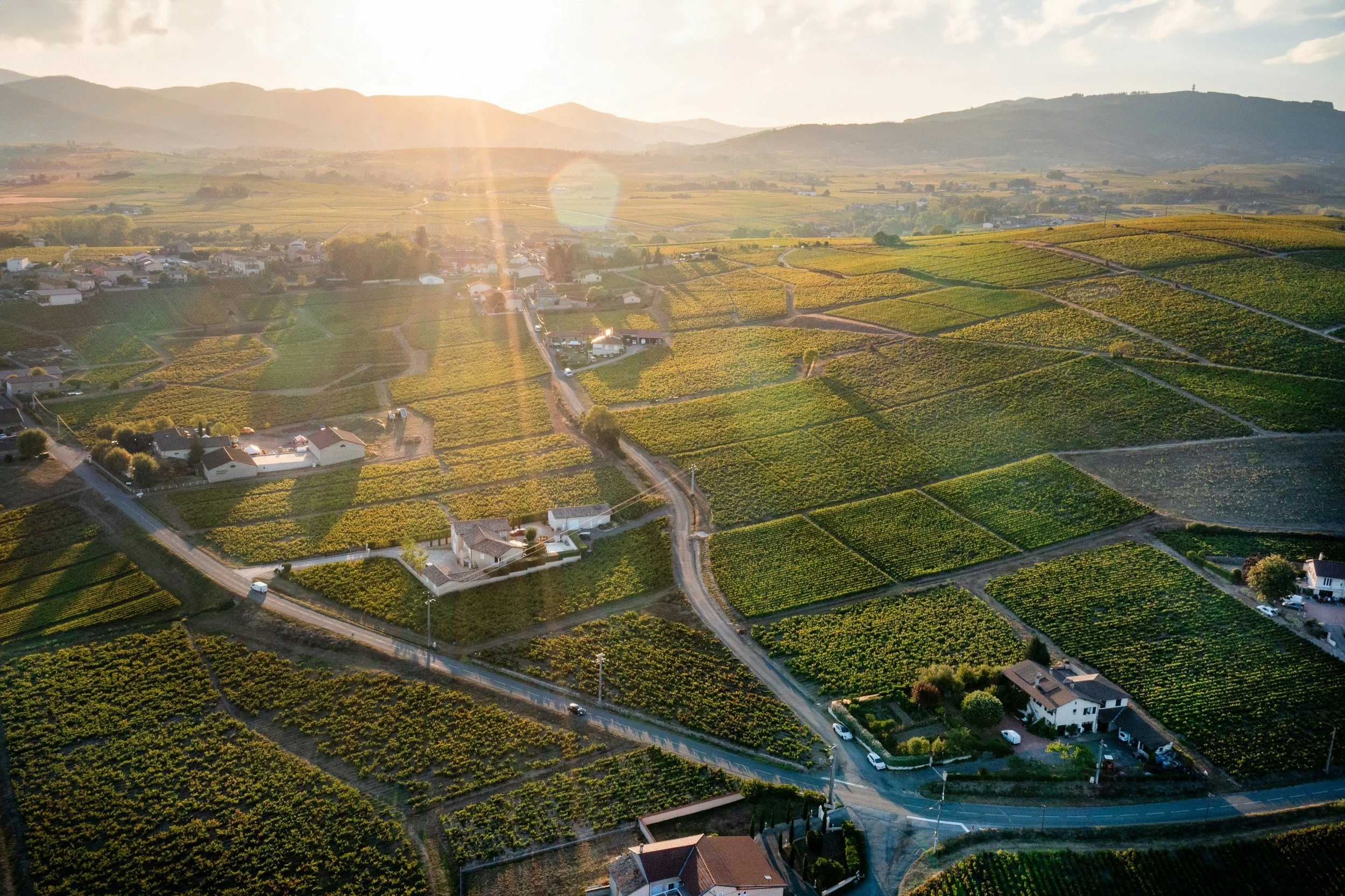 Beaujolais