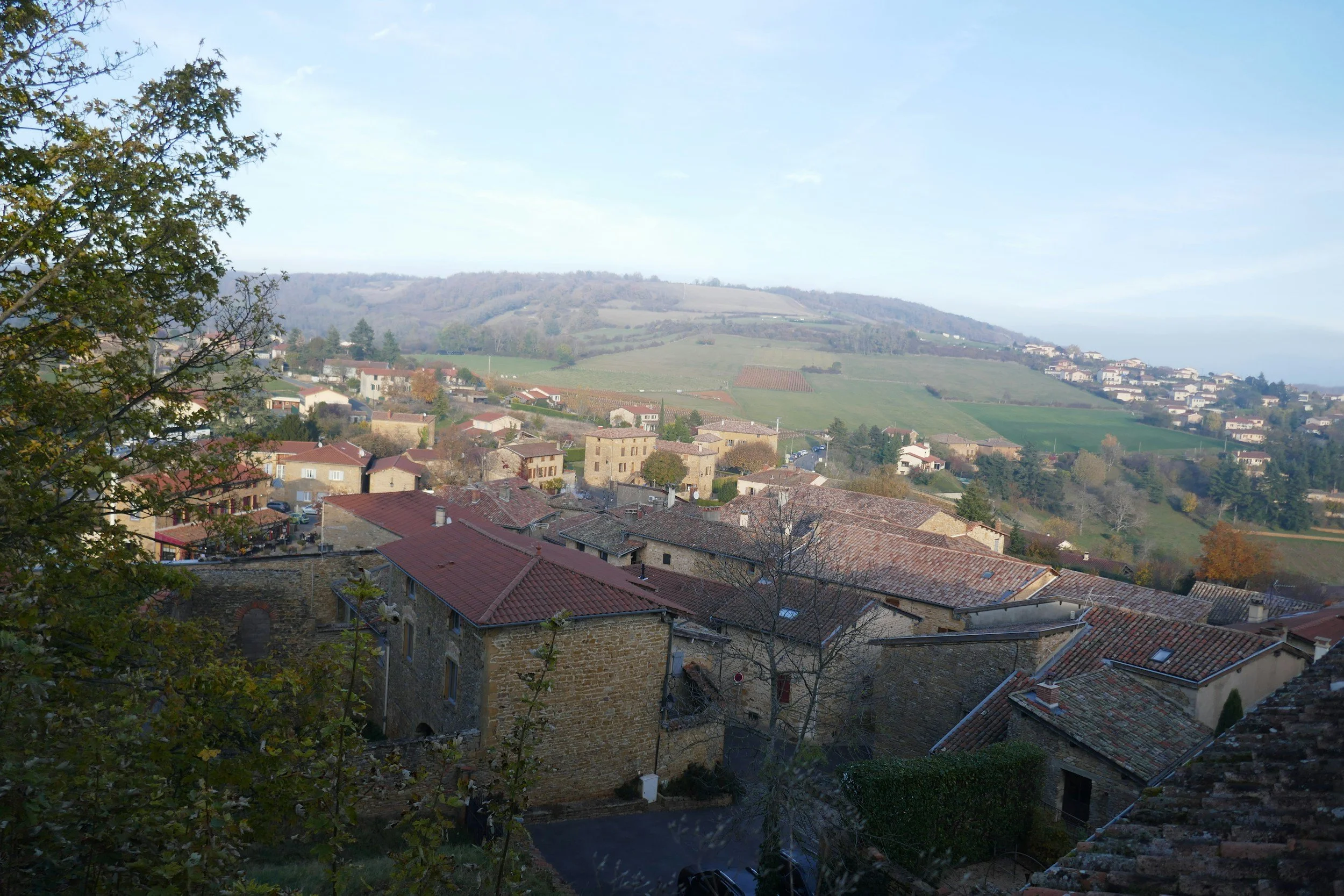 oingt view