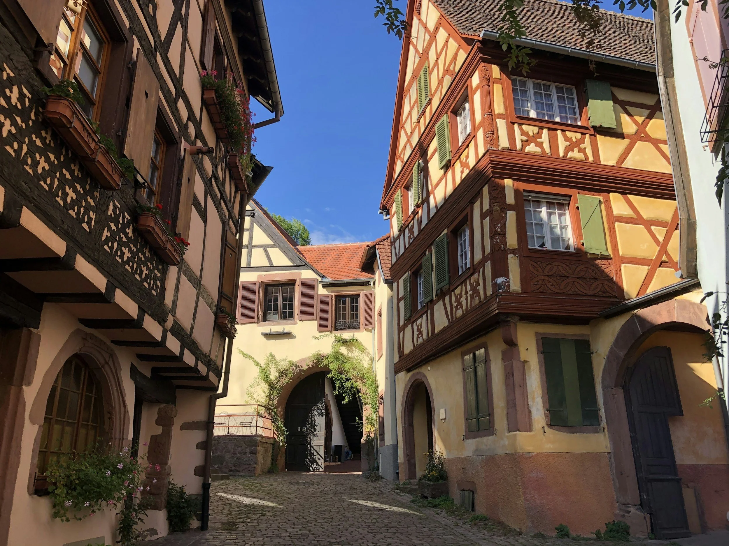 Street in Kaysersberg