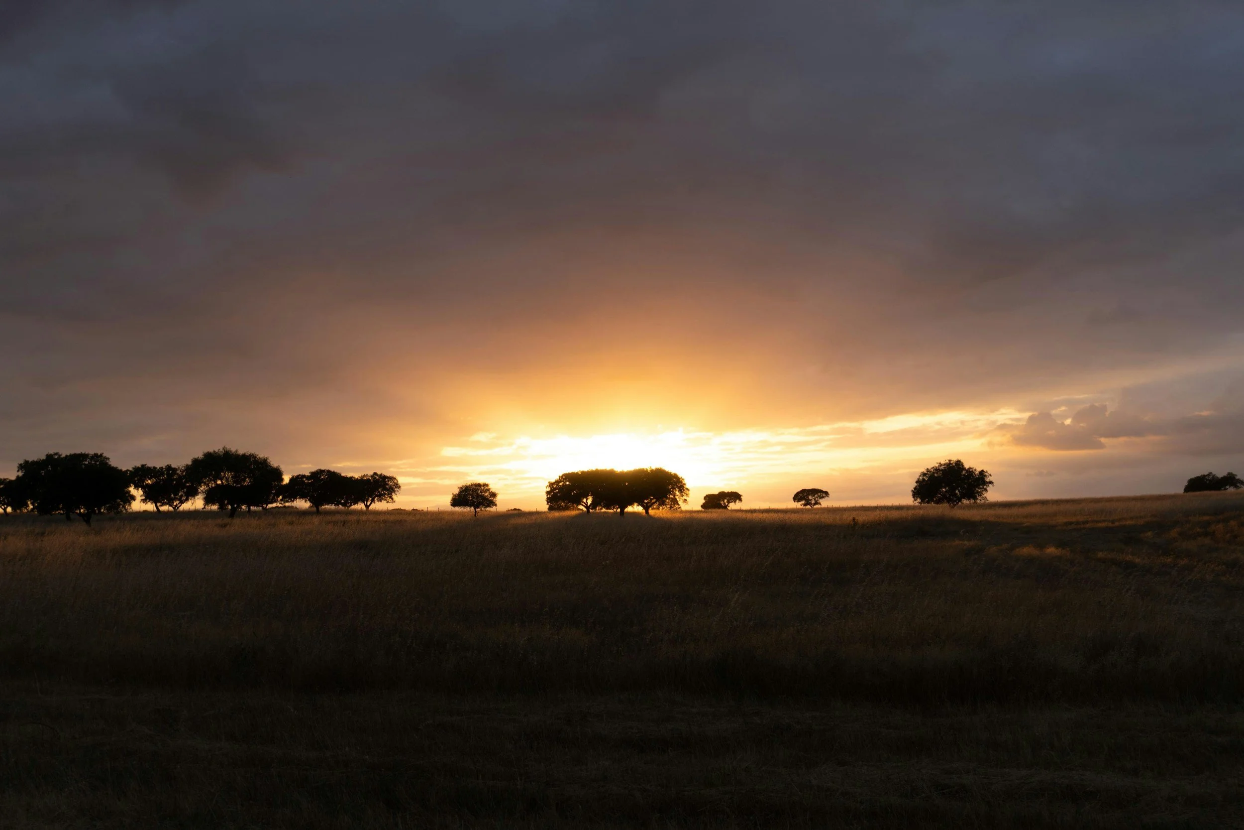 Alentejo Coast sunset