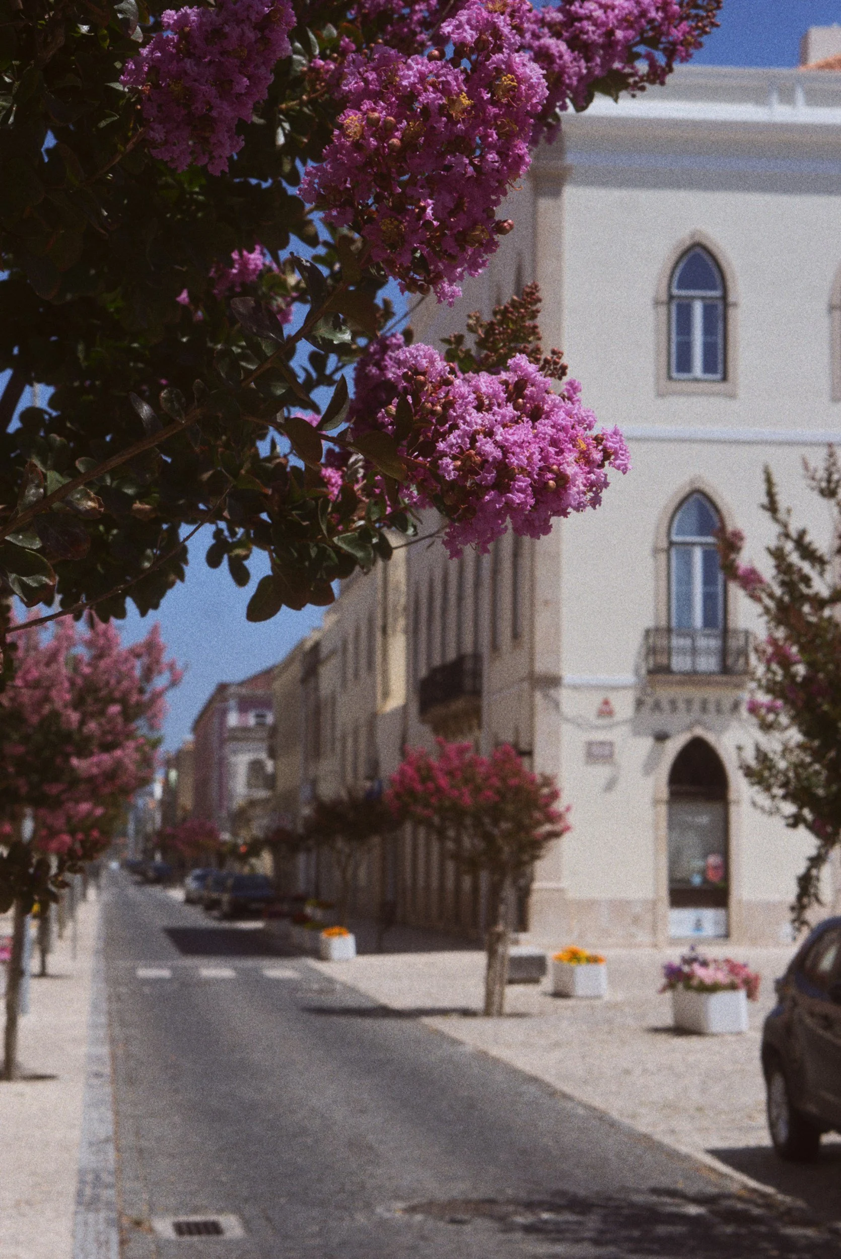 Figueira da Foz street